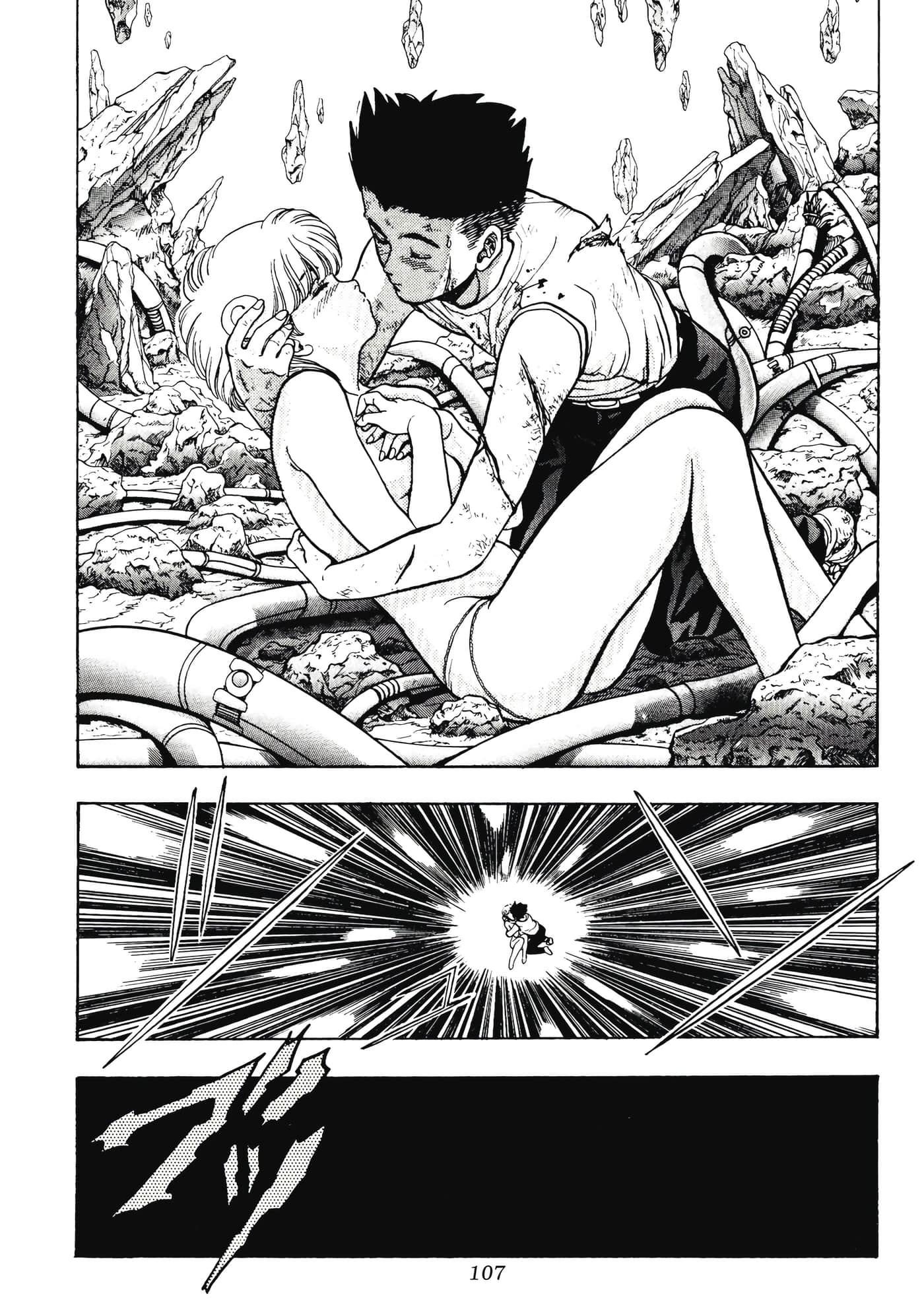 Page 107