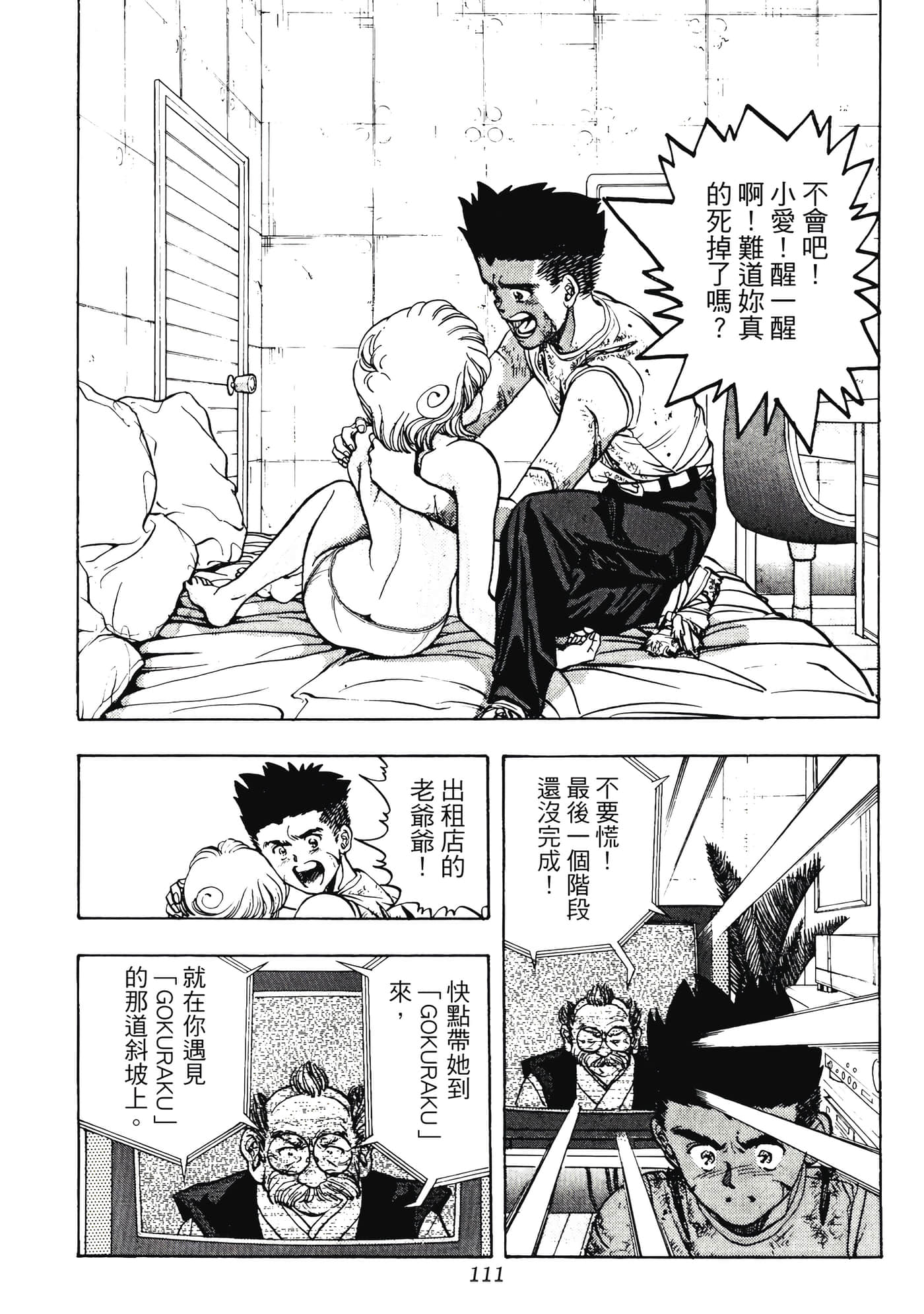 Page 111