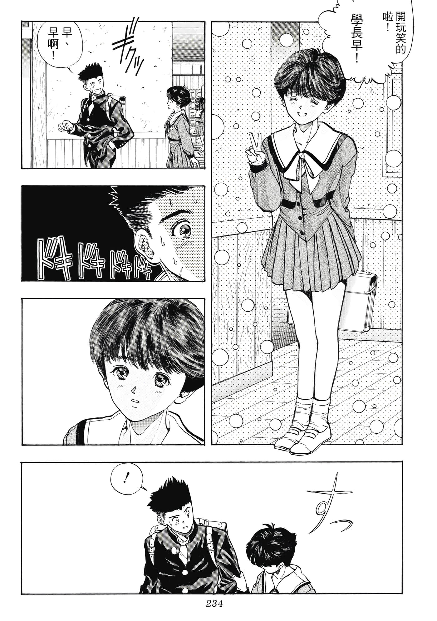 Page 234
