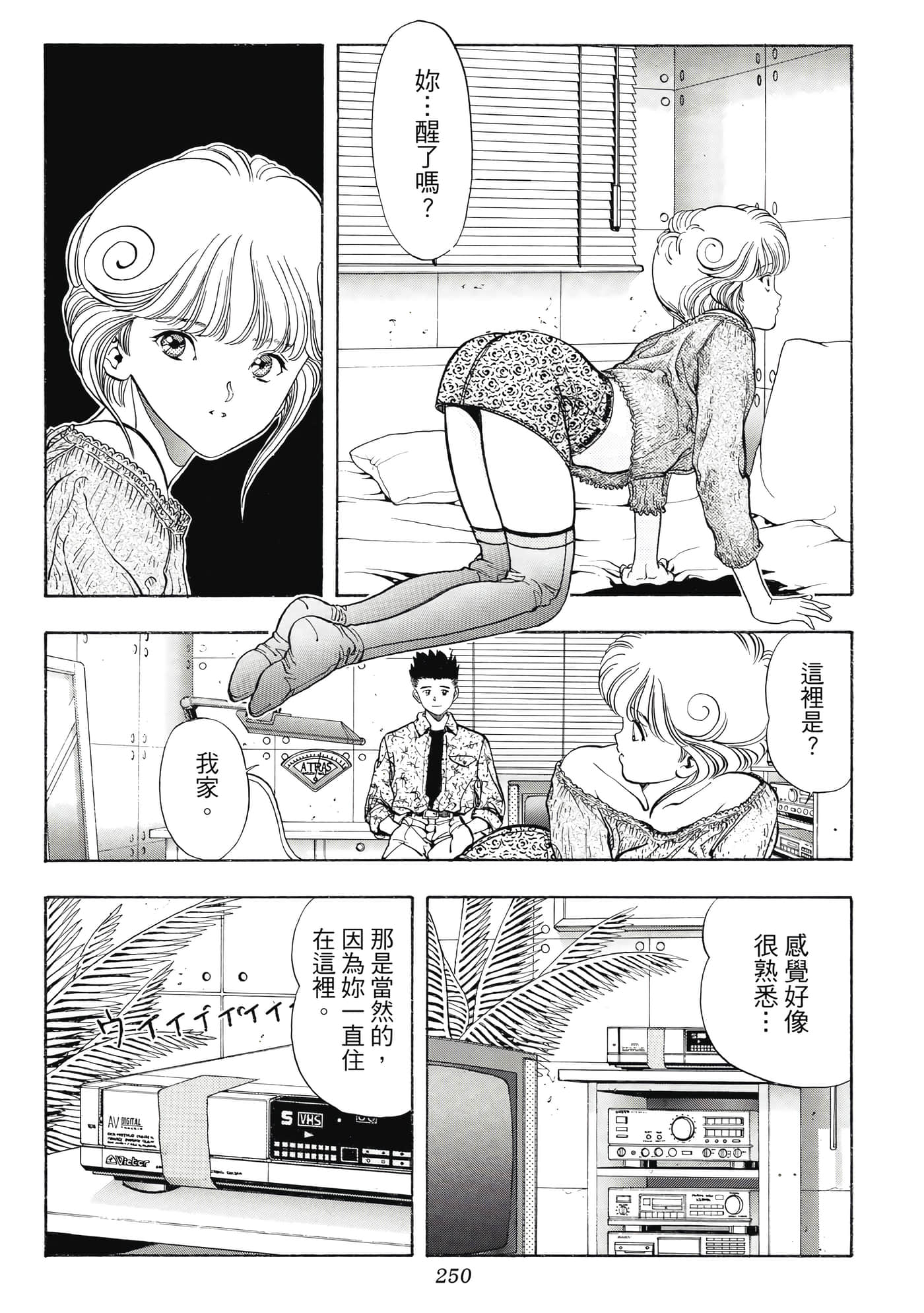 Page 250
