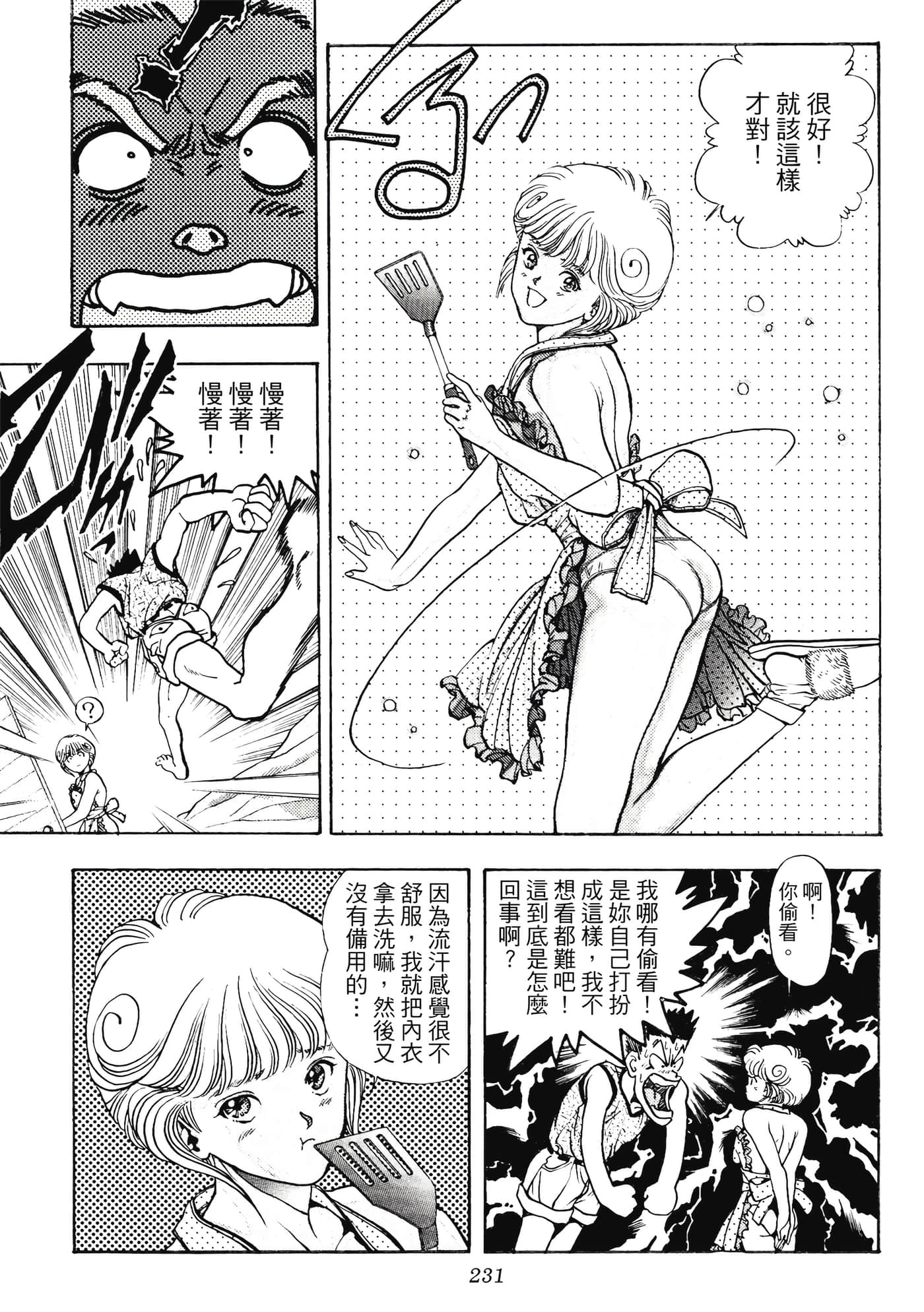 Page 231