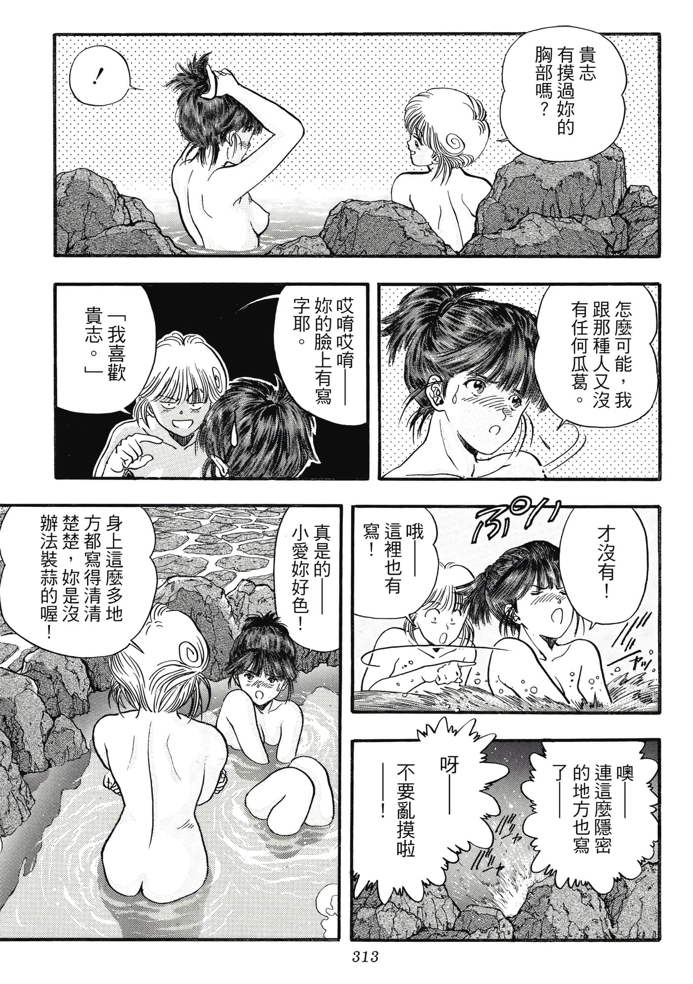 Page 313
