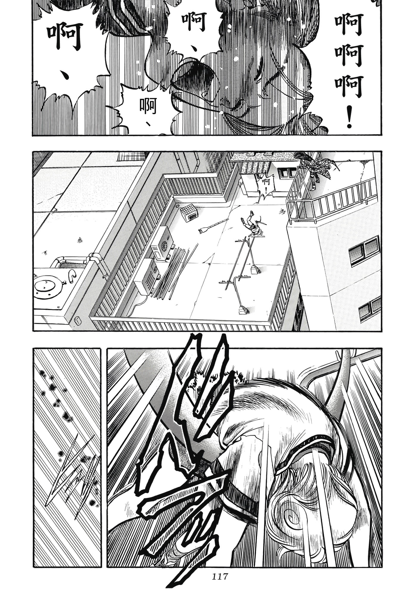 Page 117