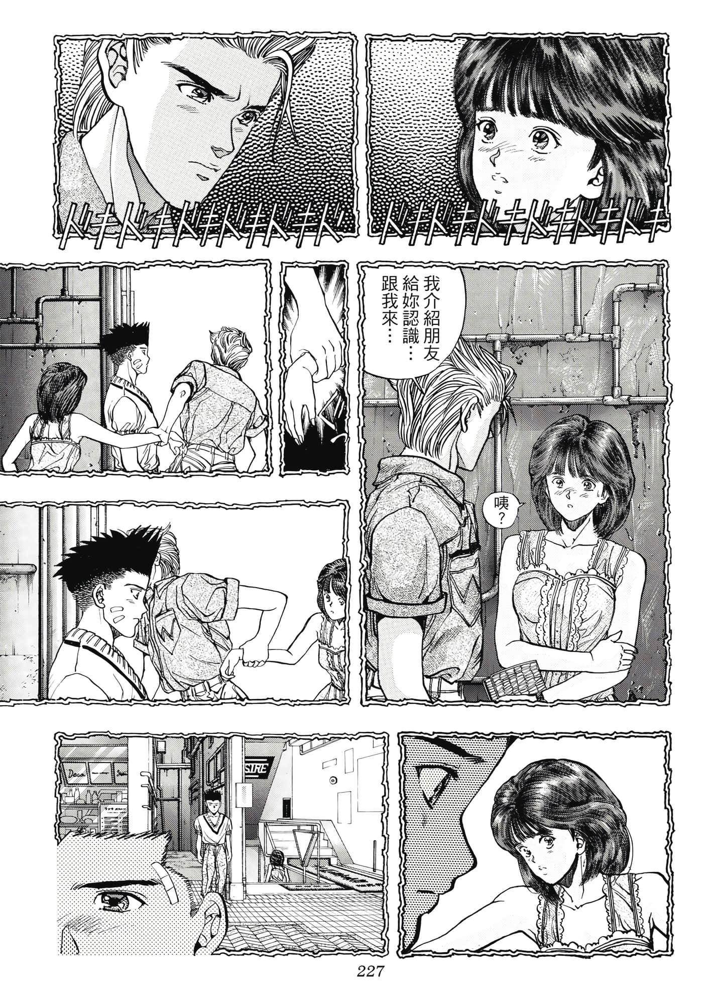 Page 227