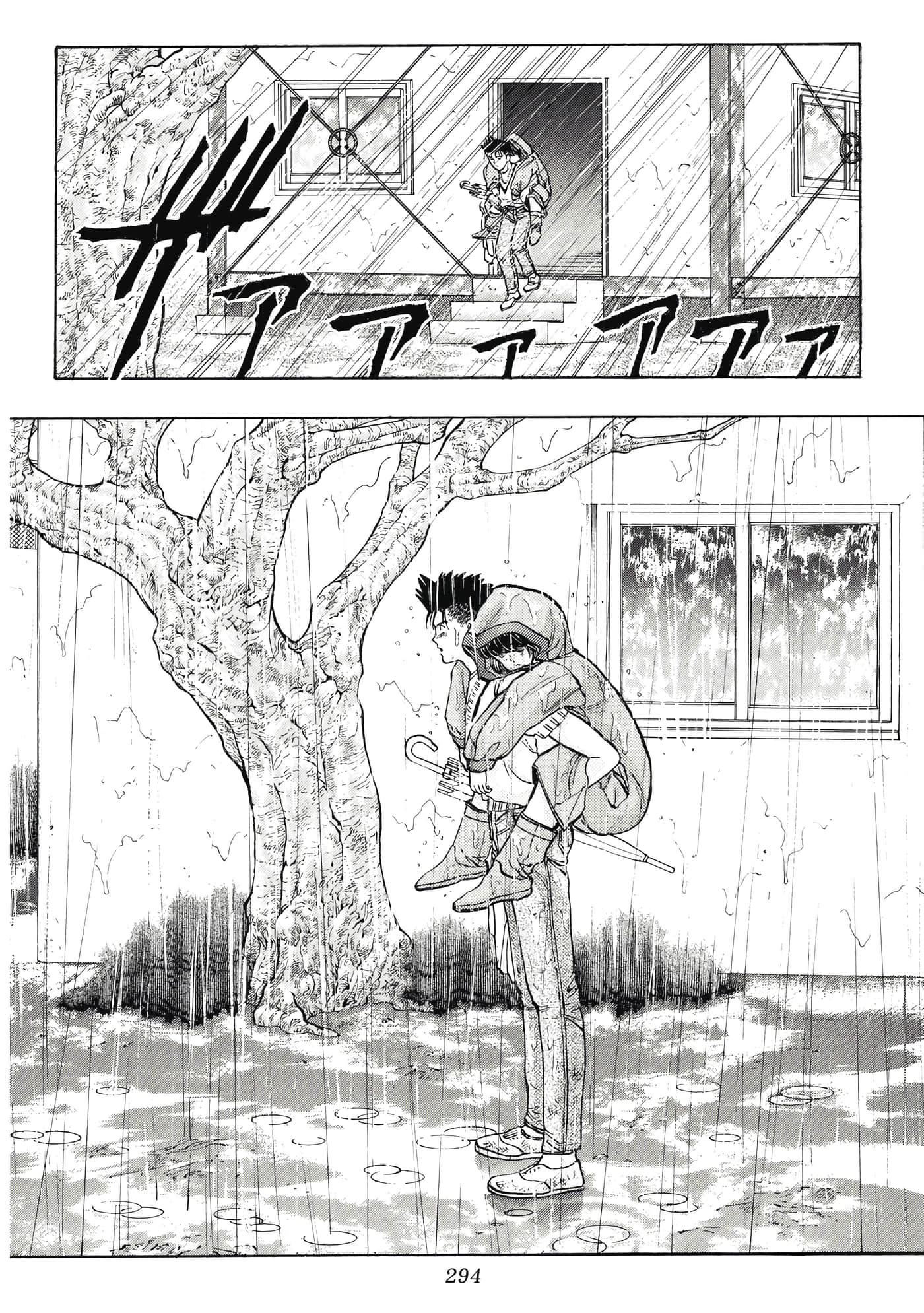 Page 294