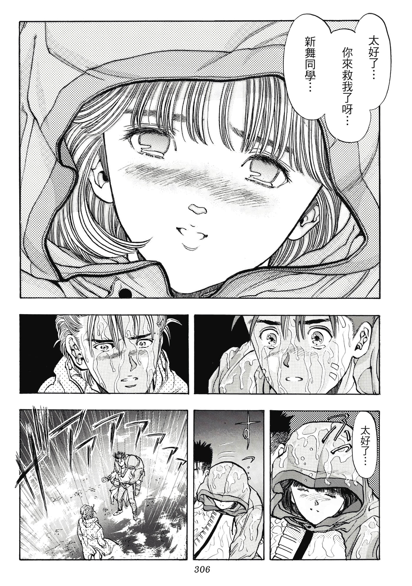 Page 306