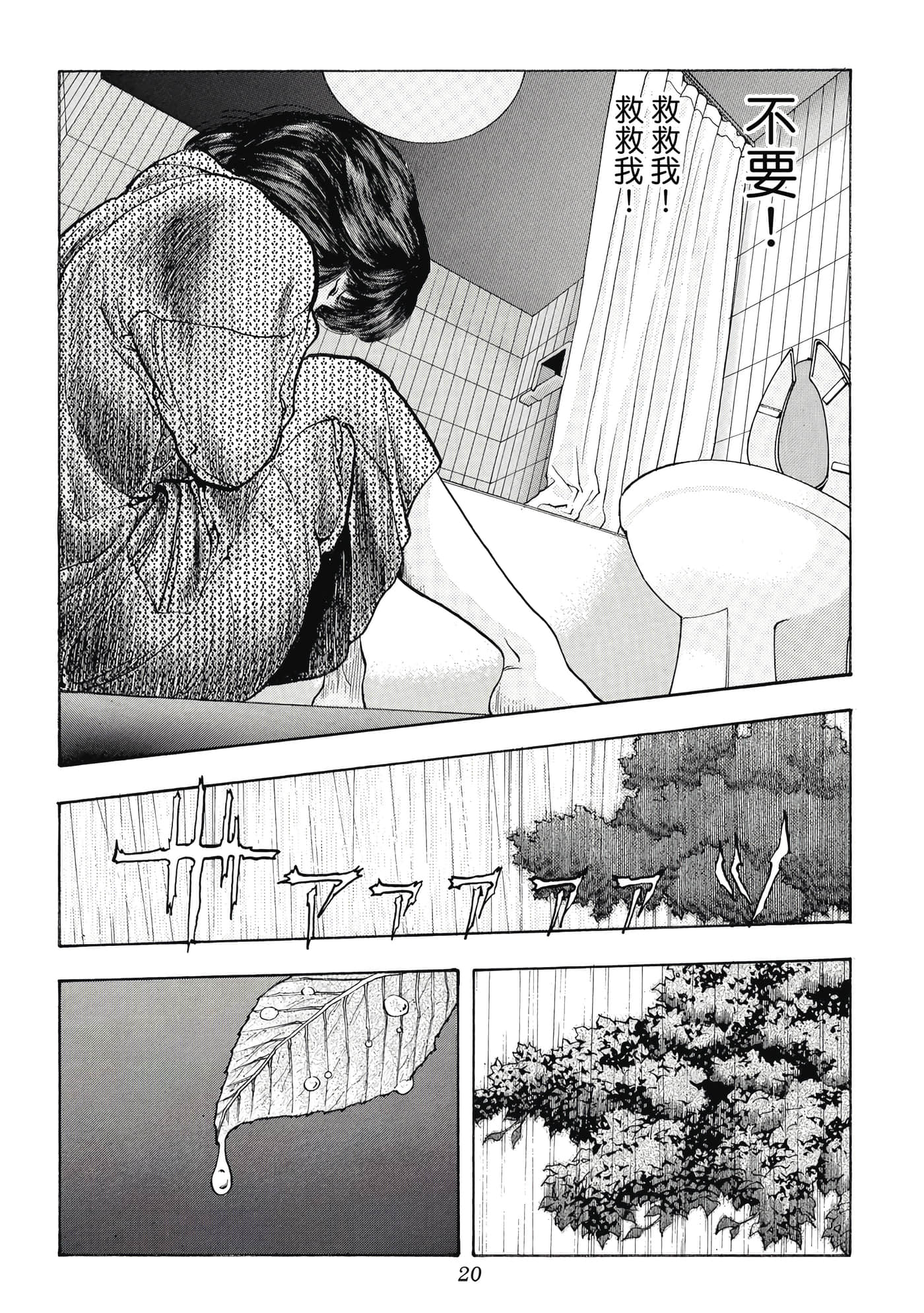 第 20 页