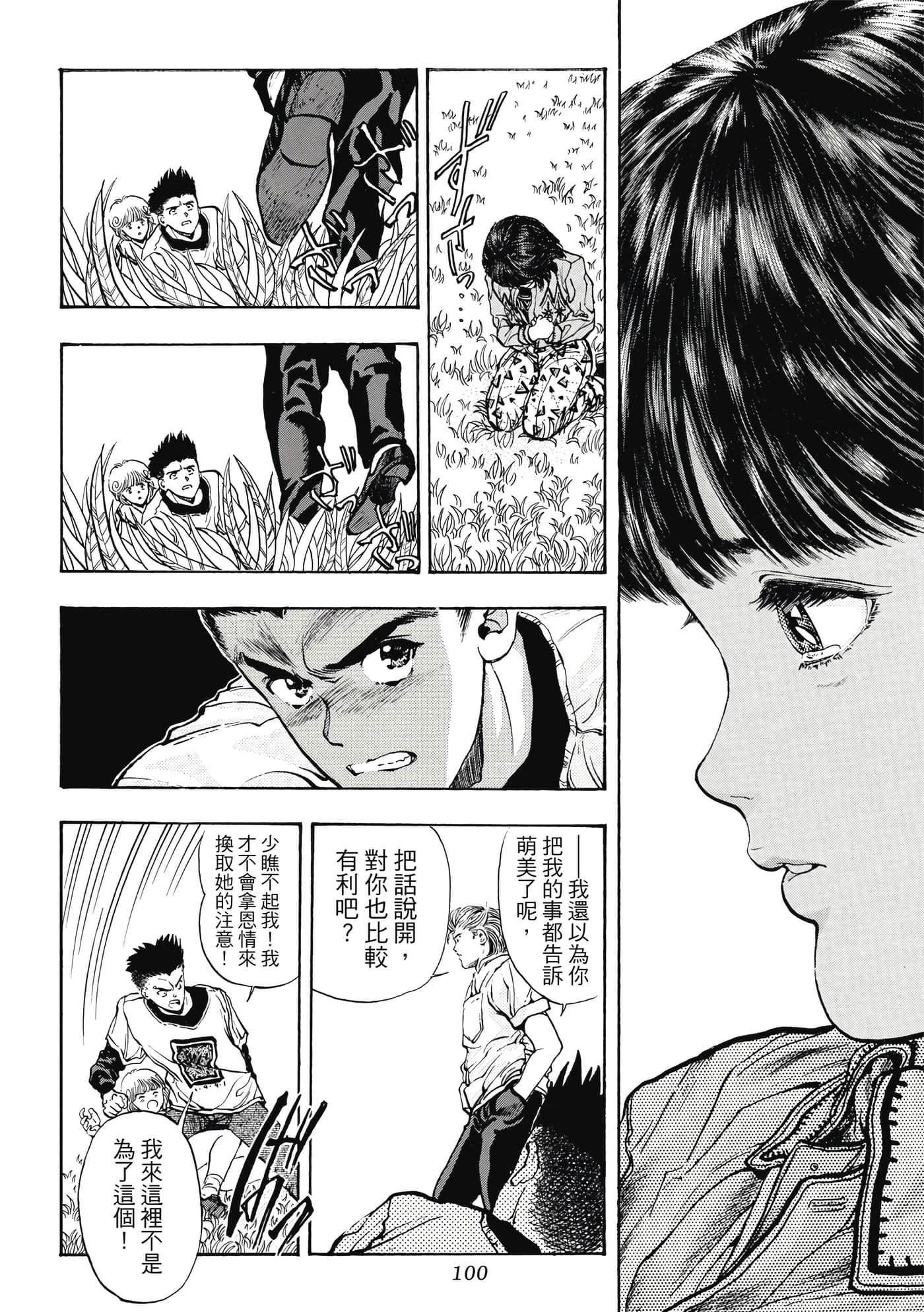 第 100 页