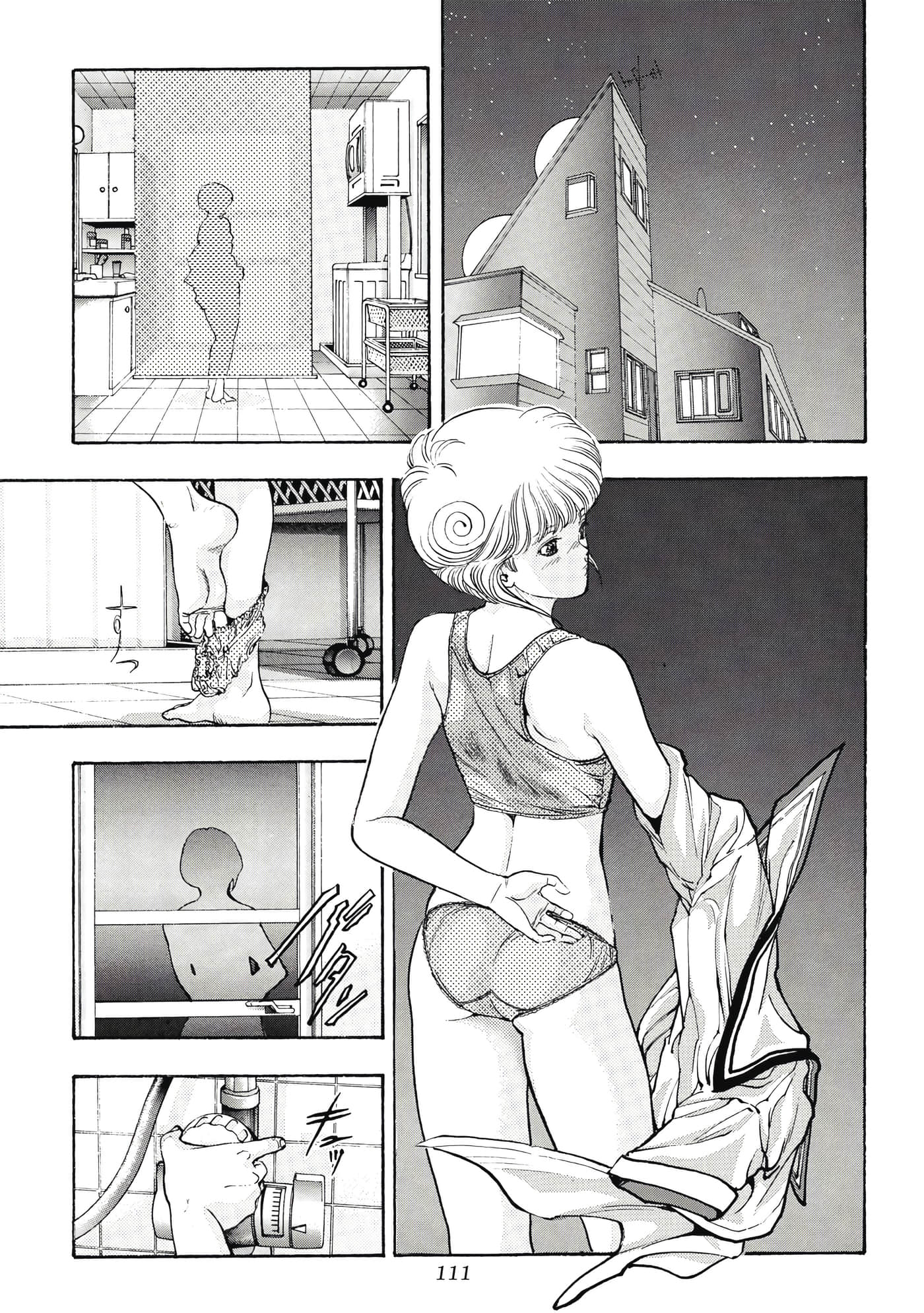 第 111 页
