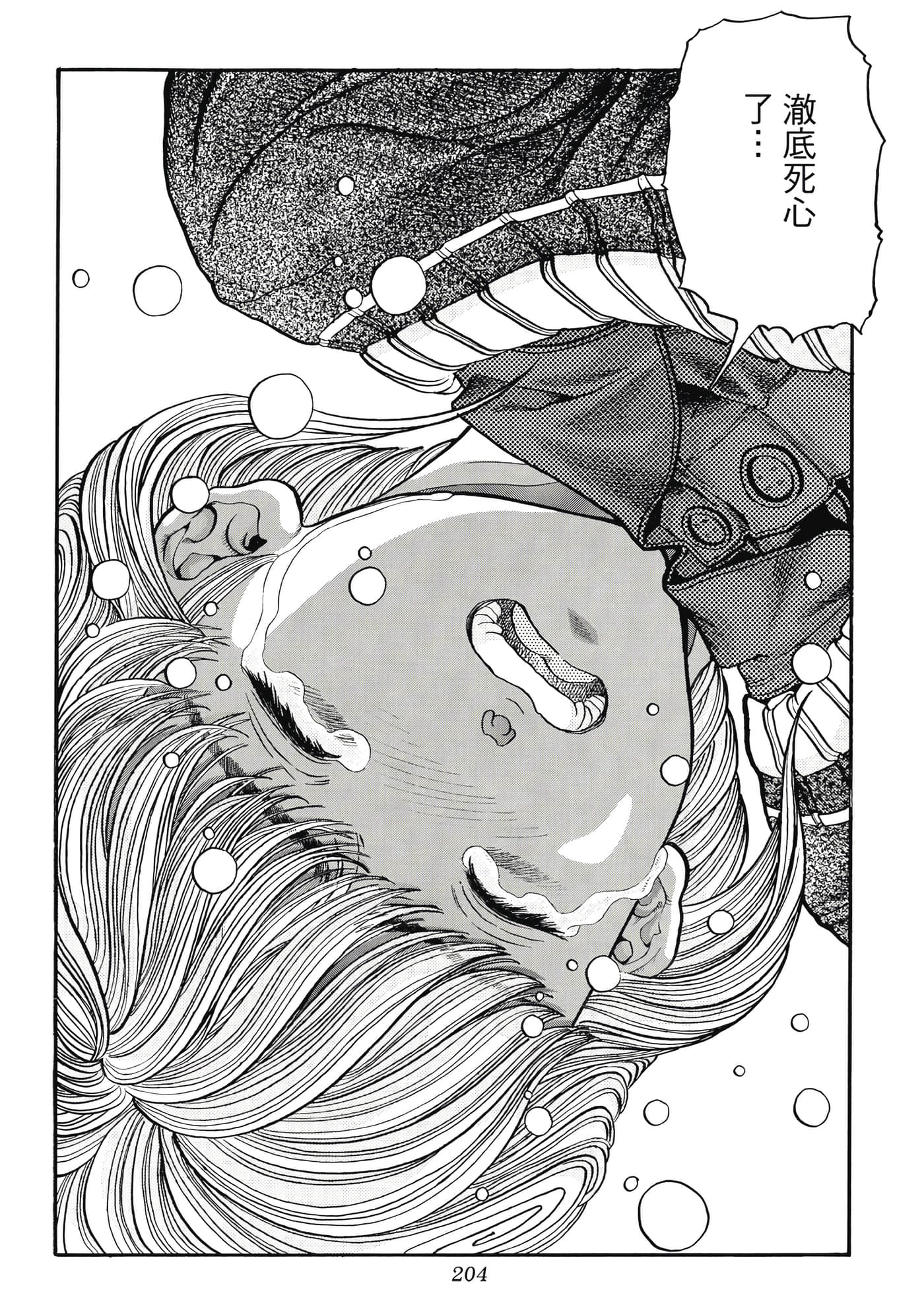 第 204 页