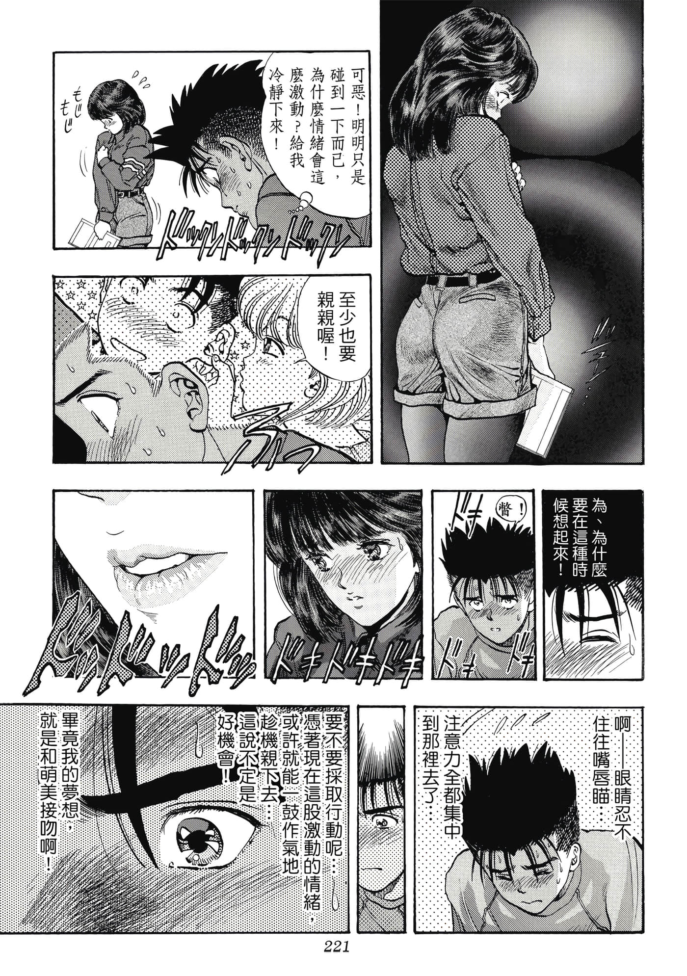 第 221 页