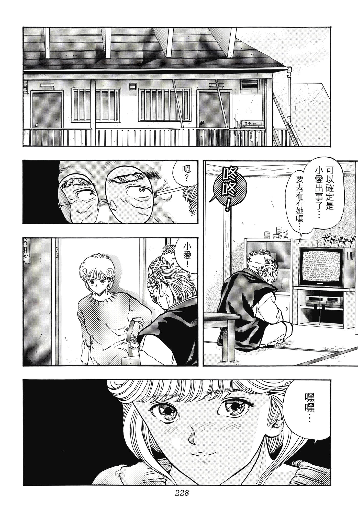 第 228 页
