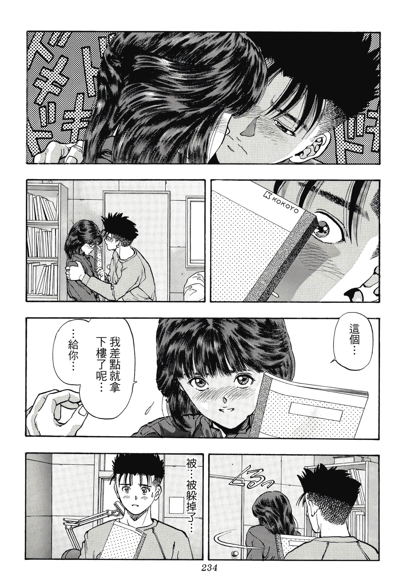 第 234 页