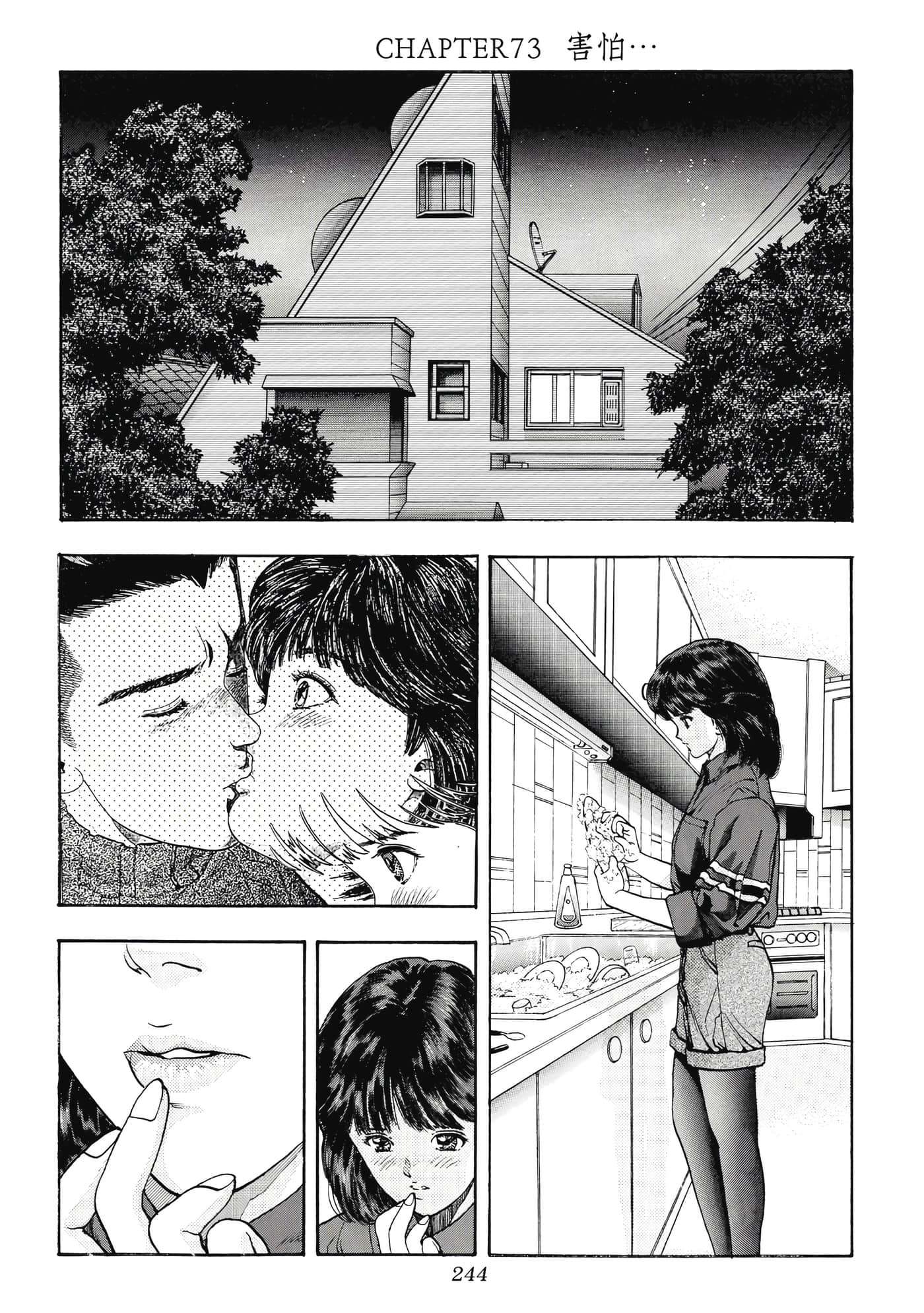 第 244 页