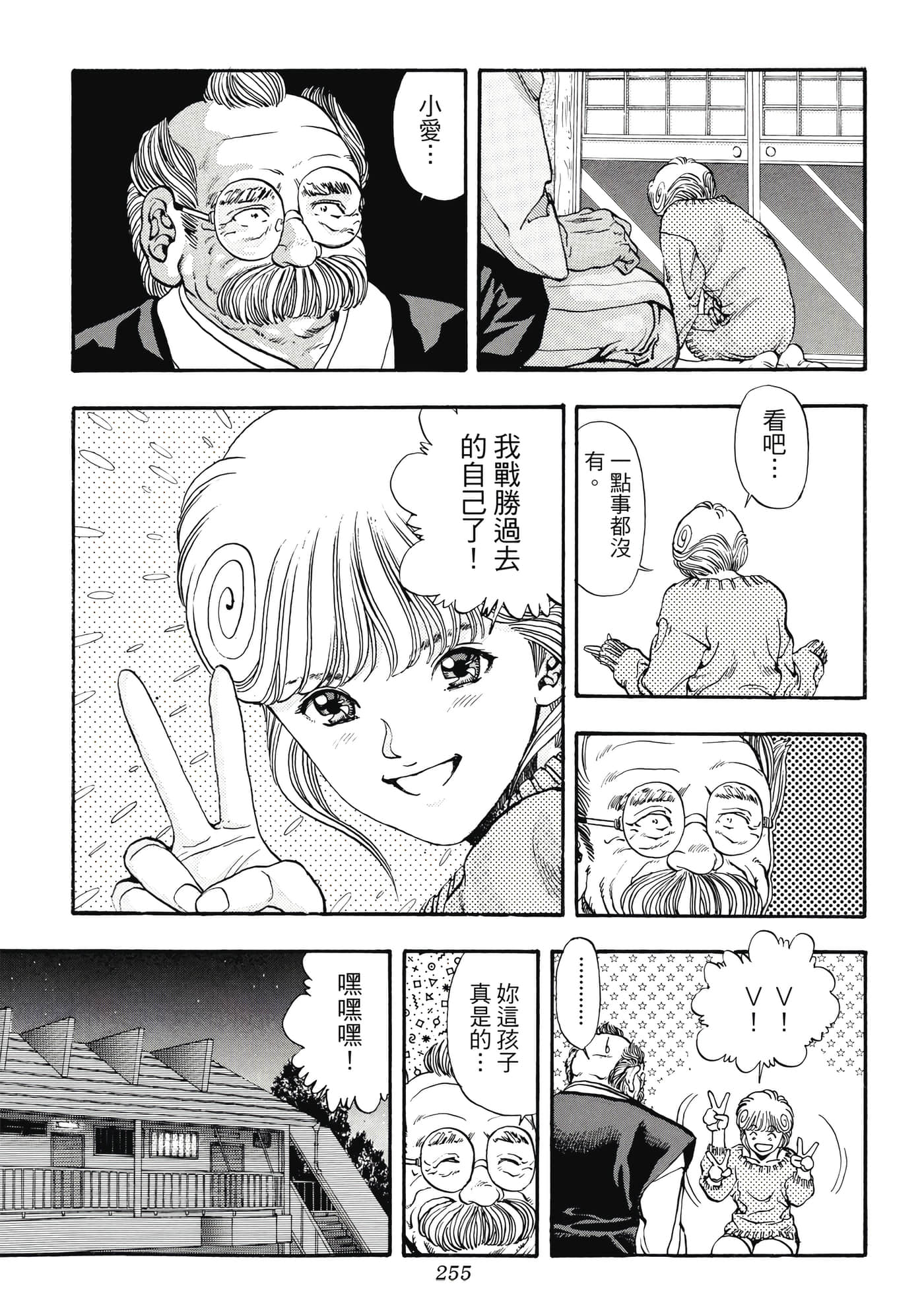 第 255 页