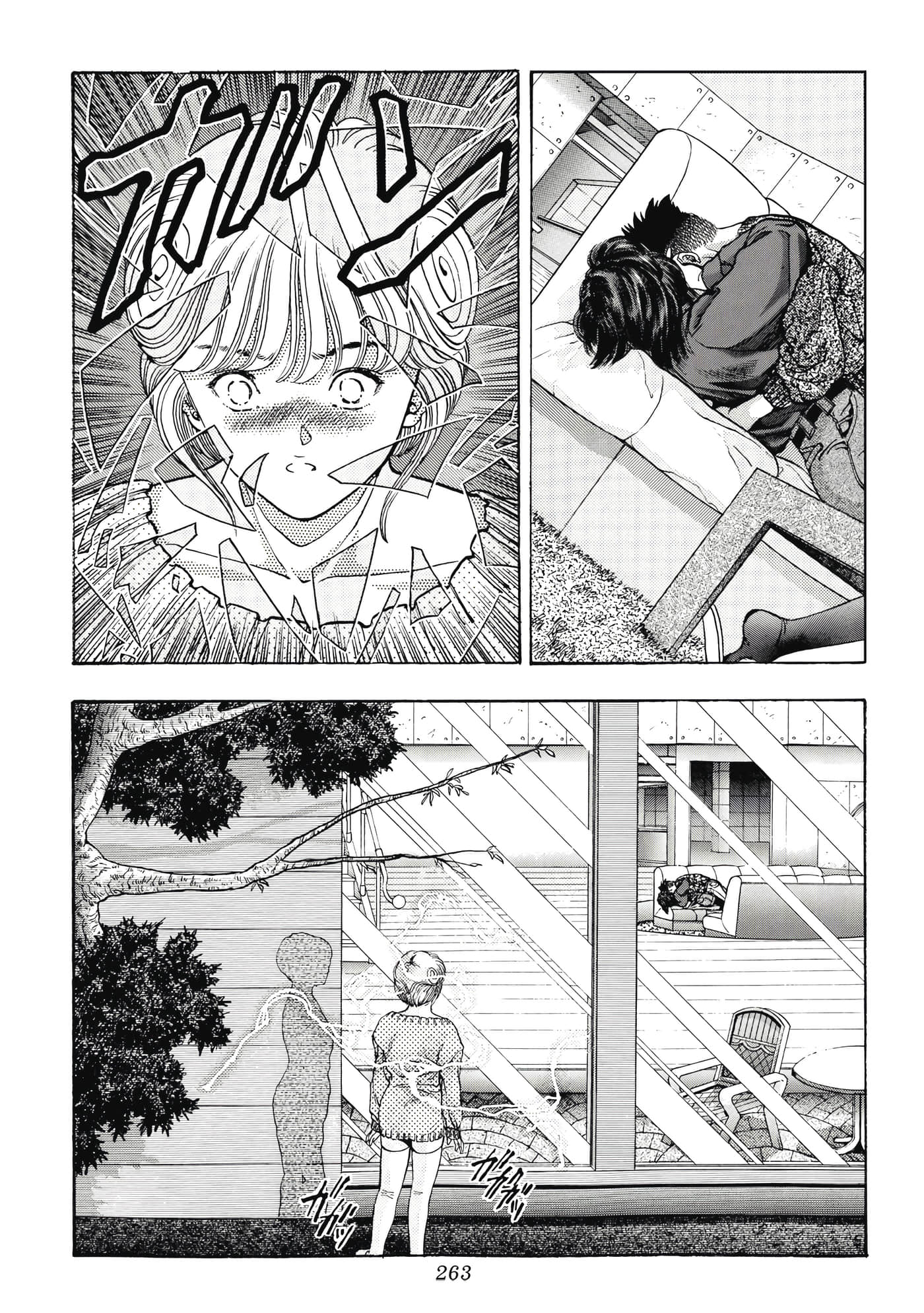 第 263 页