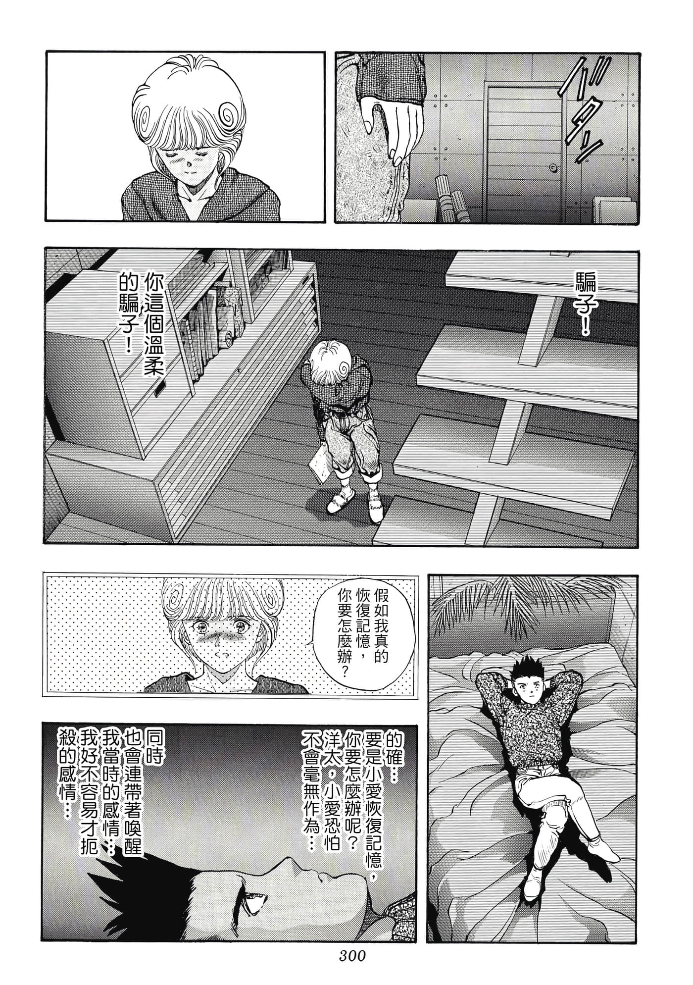 第 300 页