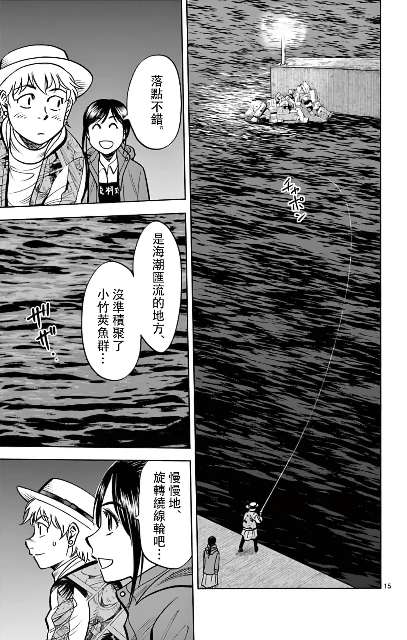 Page 15