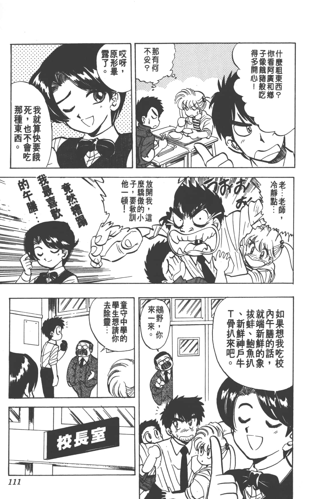 Page 111