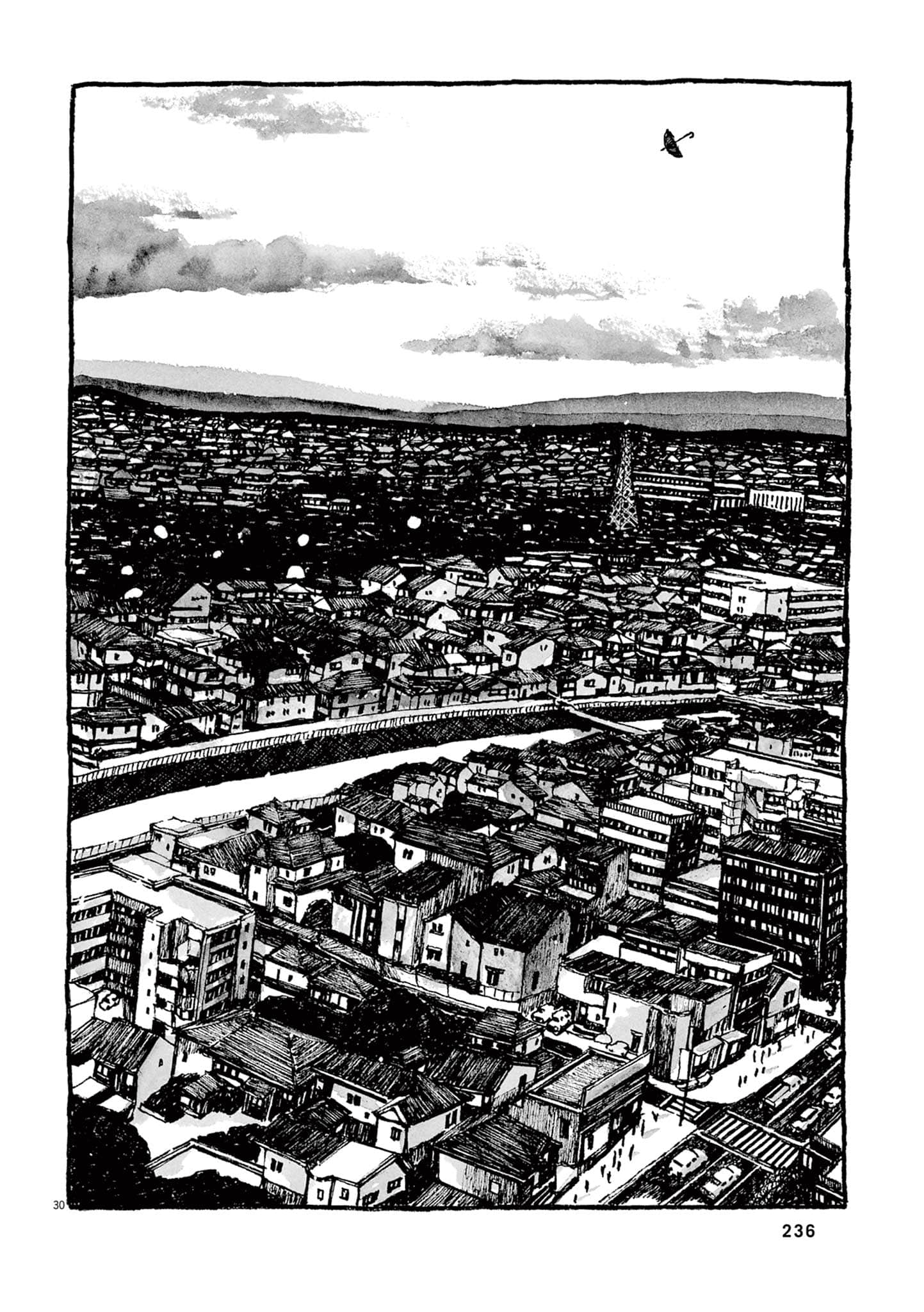 Page 238