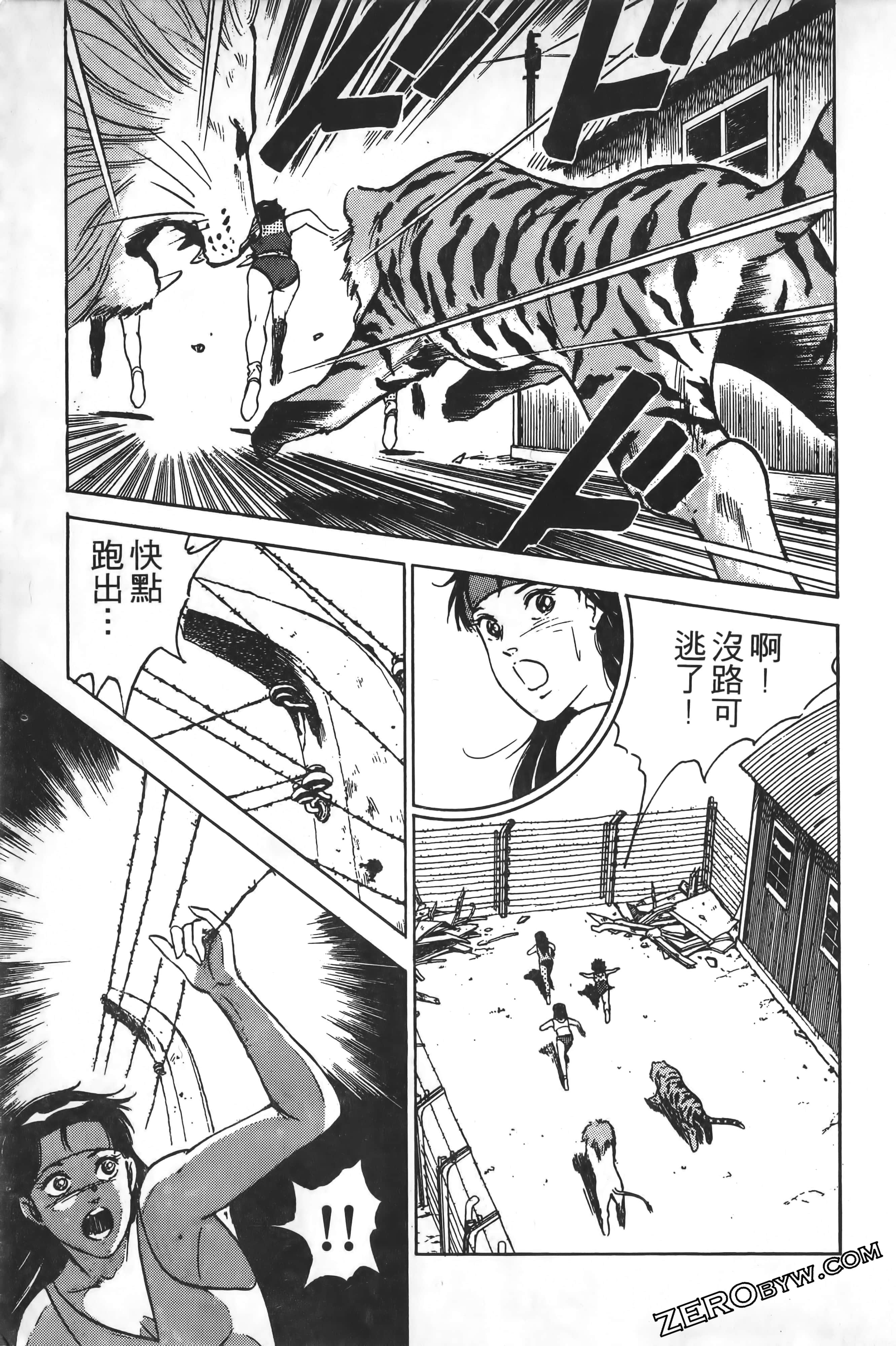 Page 204