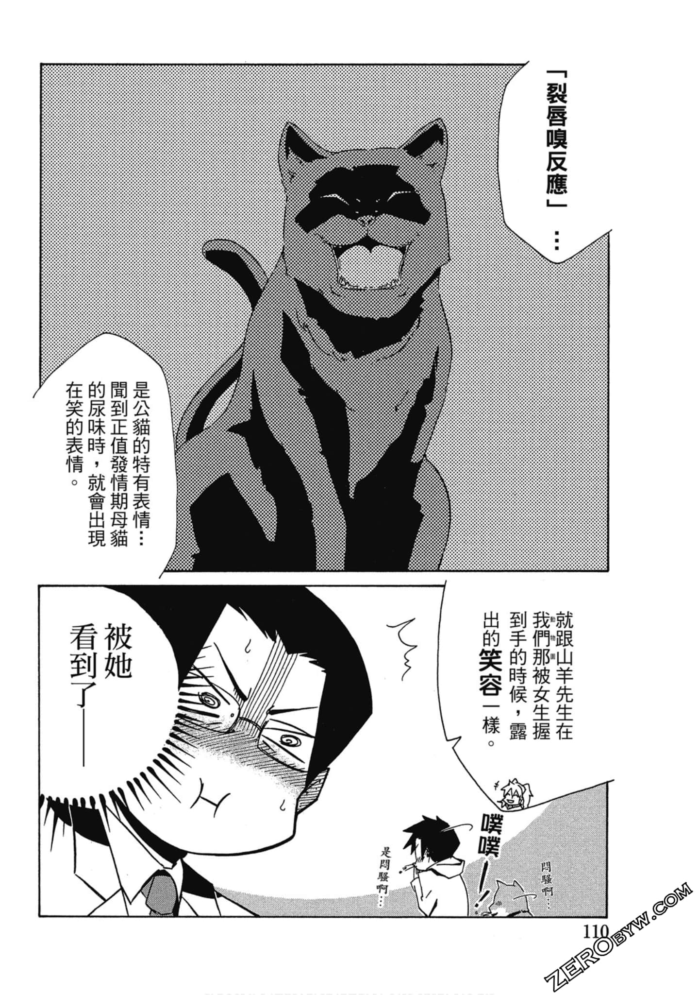 Page 111