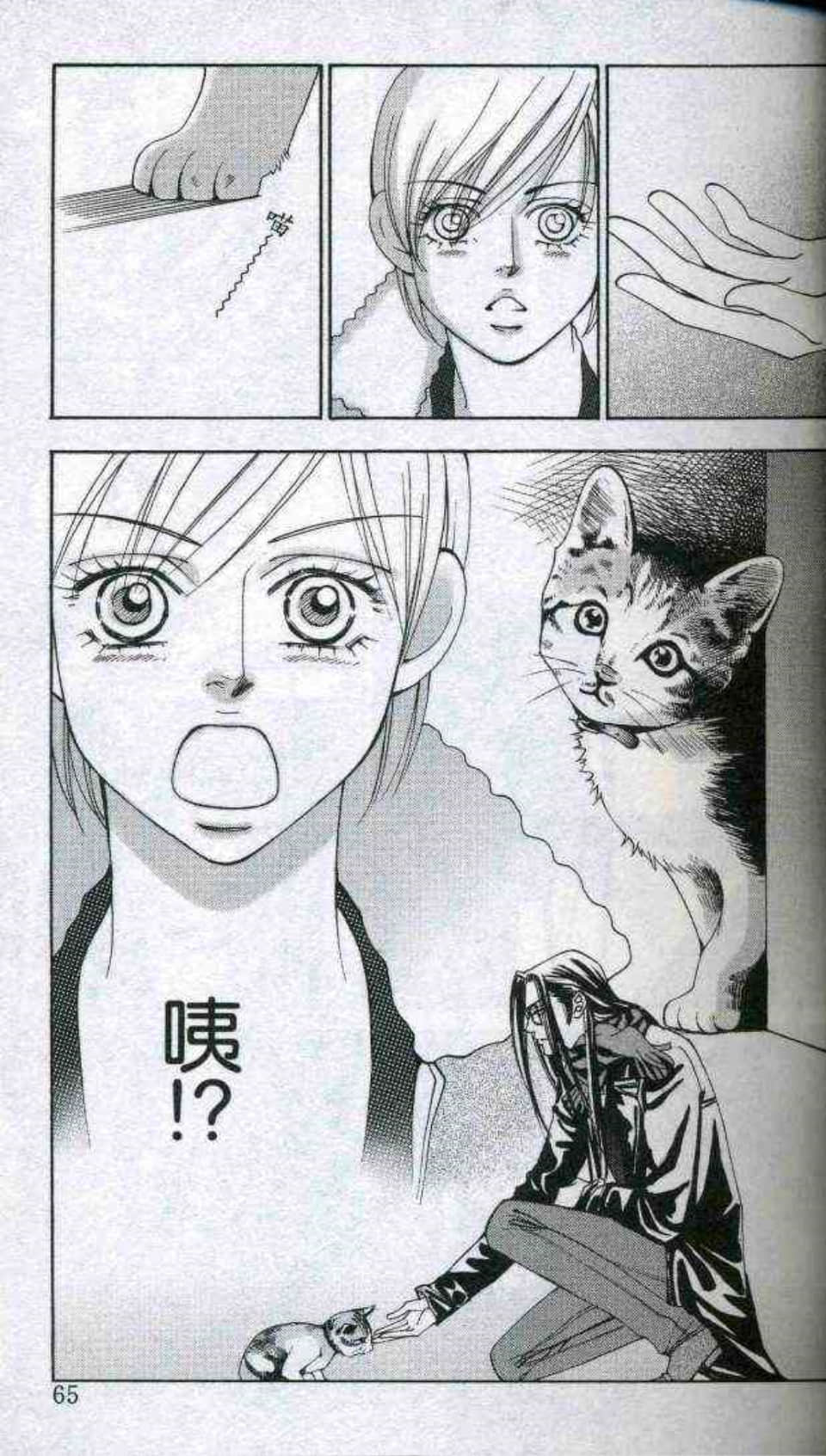 Page 64