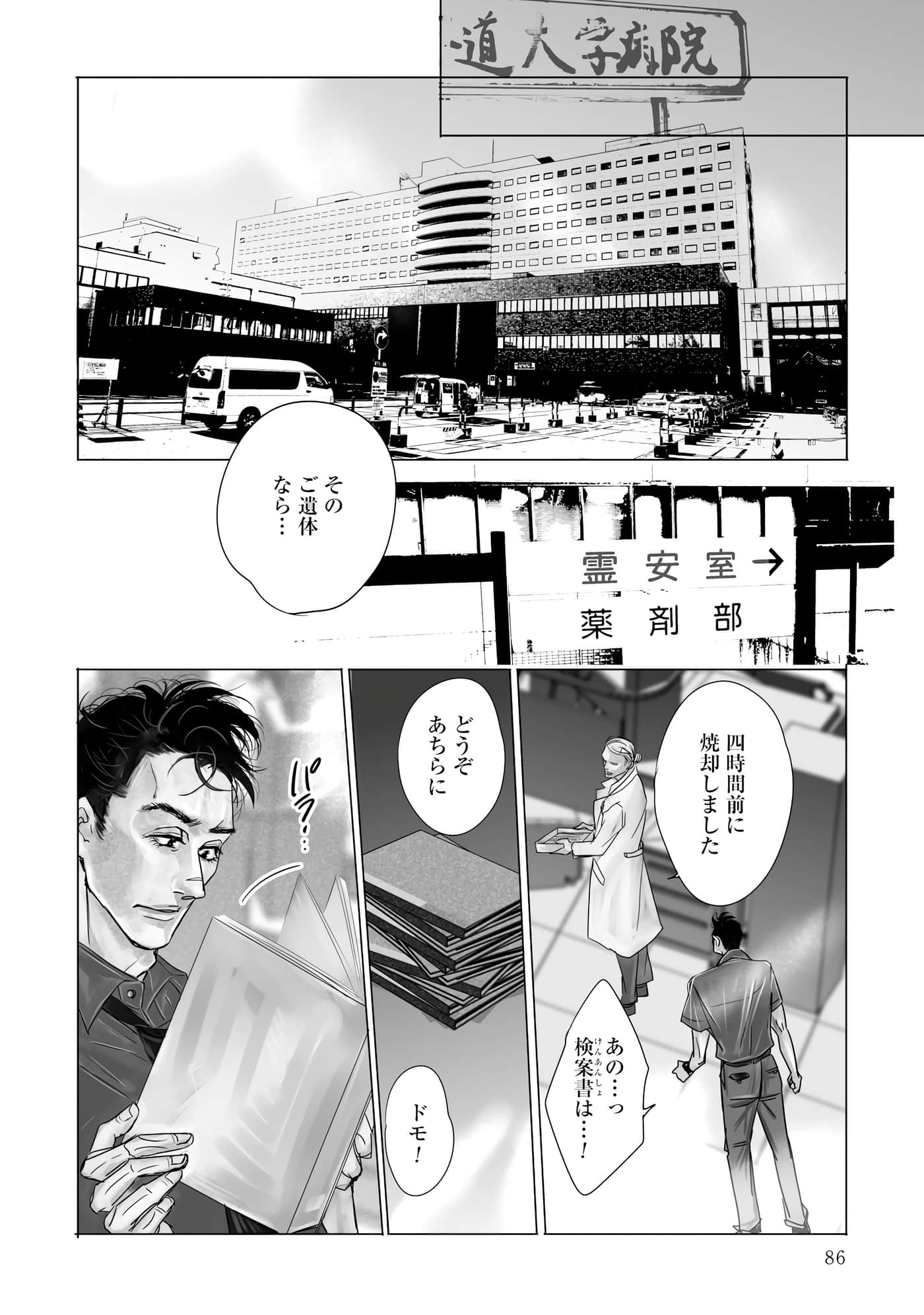 Page 87