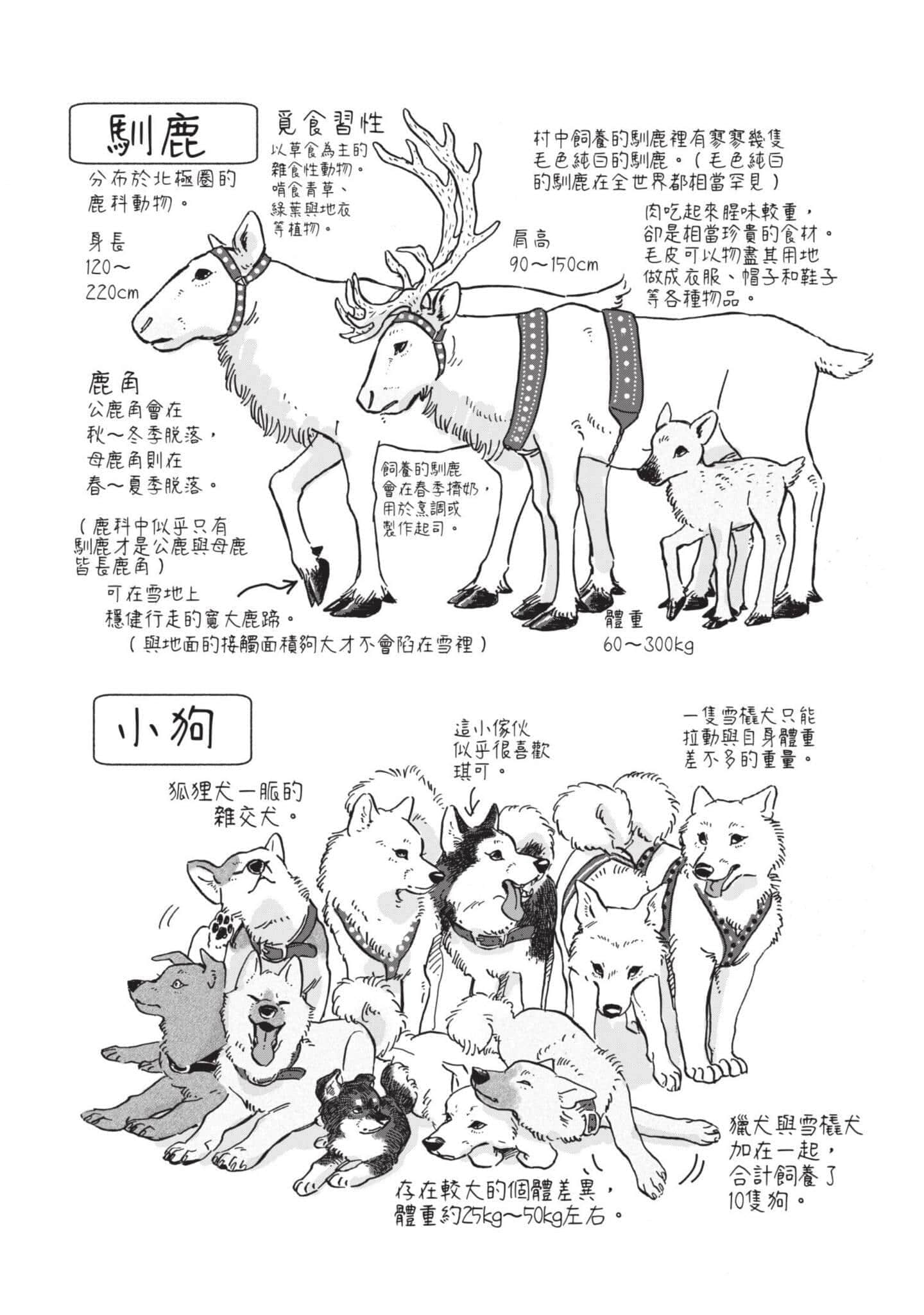 第 177 页