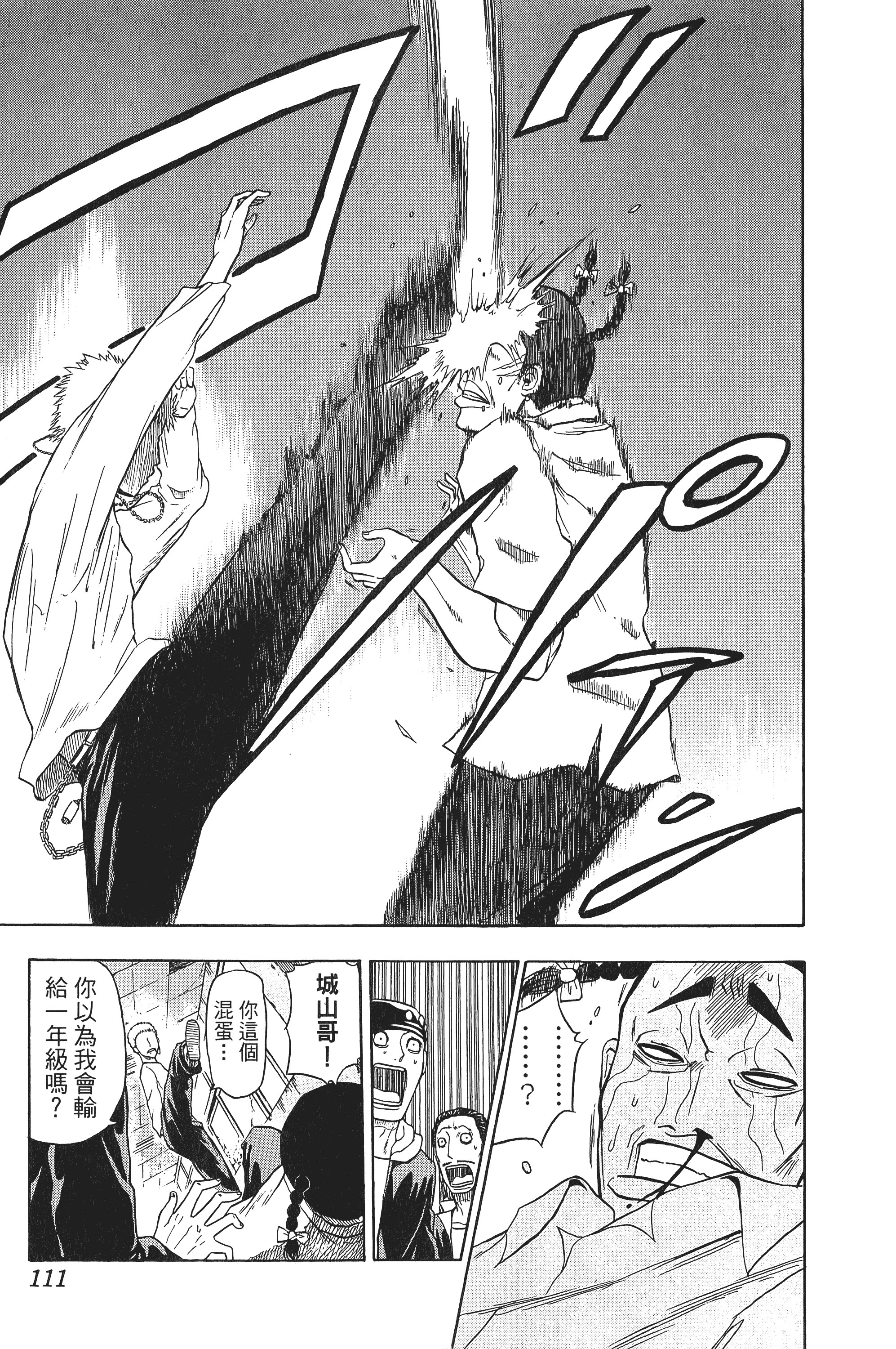 Page 111