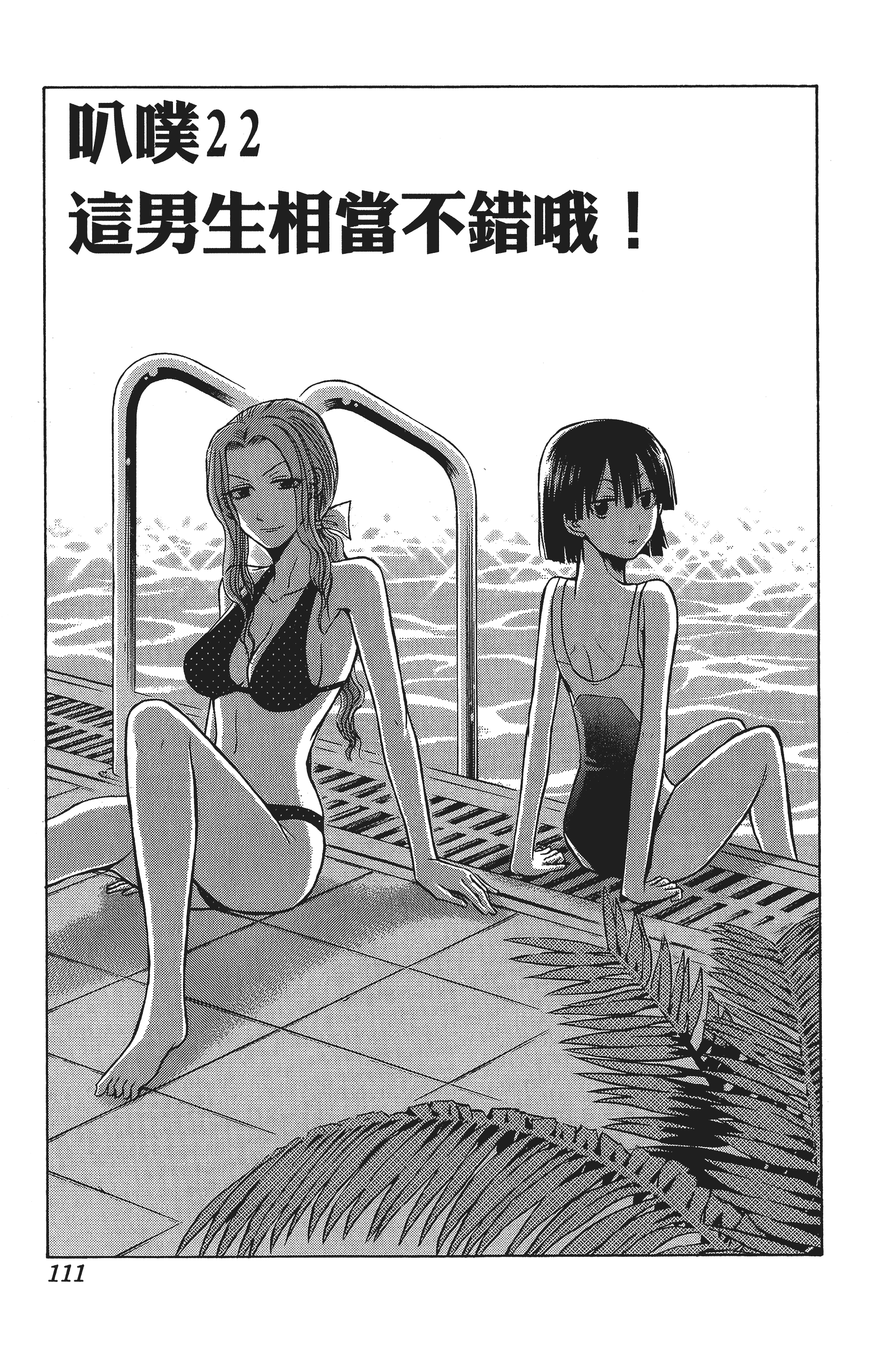 Page 111
