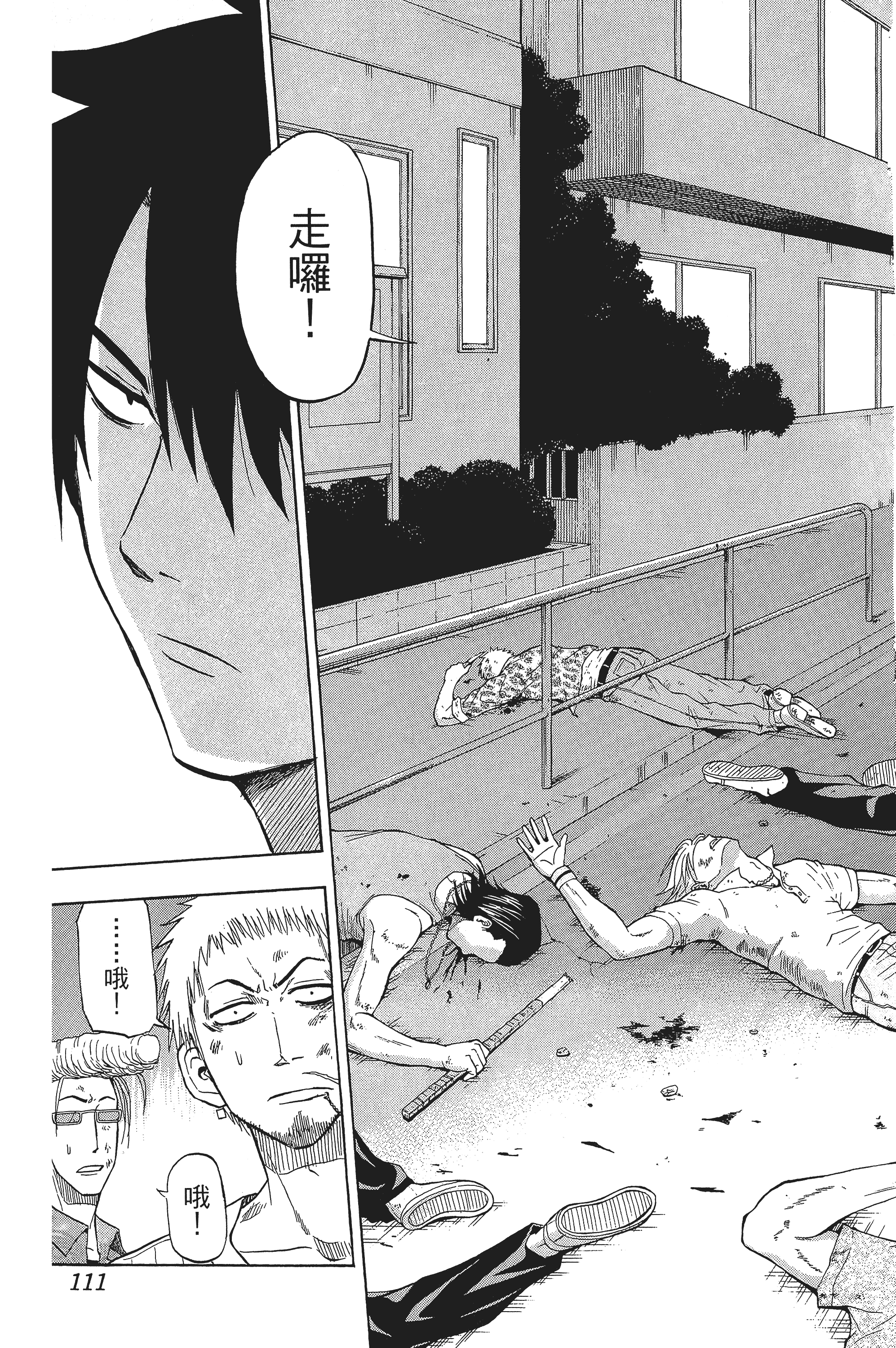 Page 111