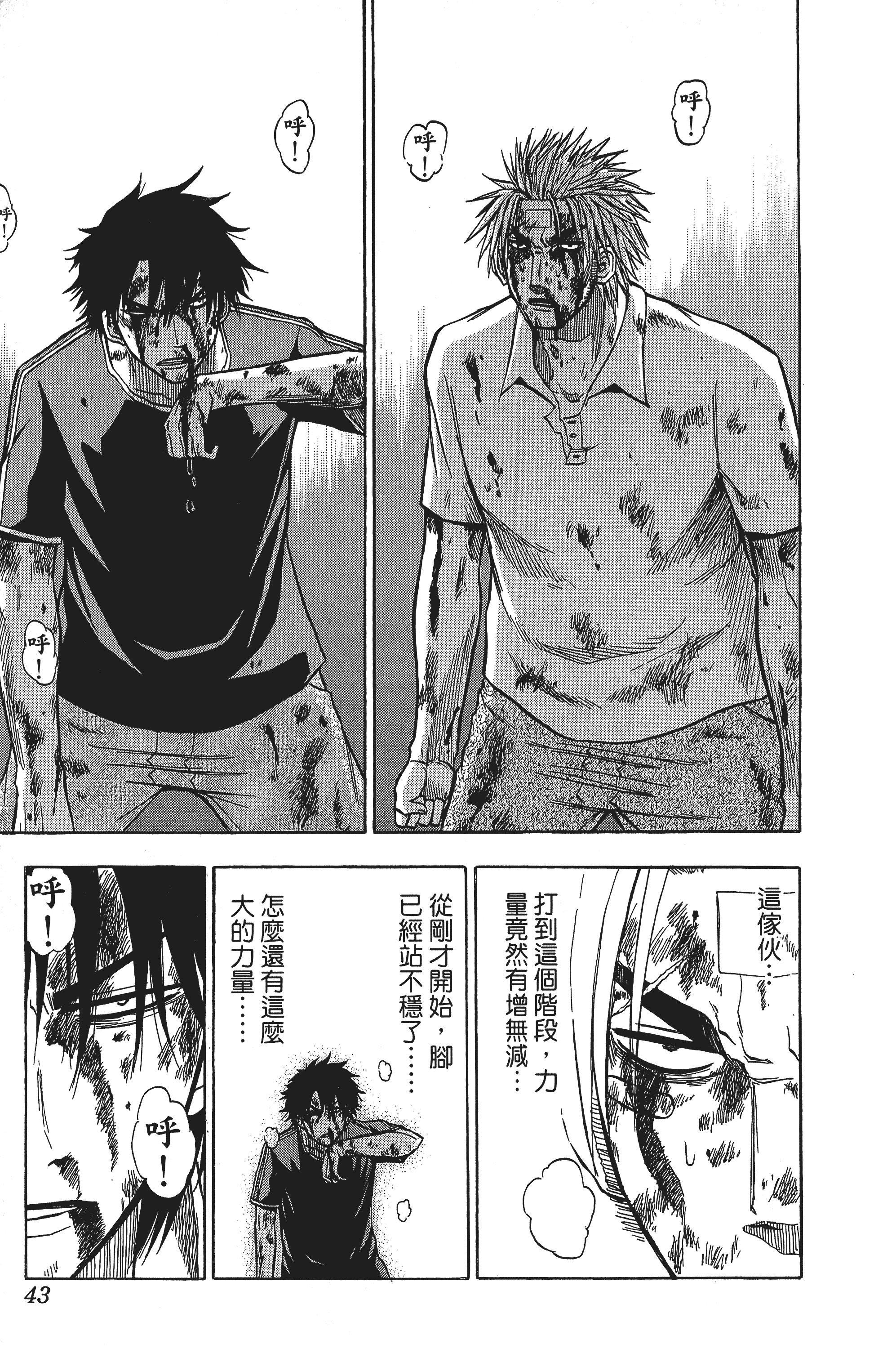 Page 43