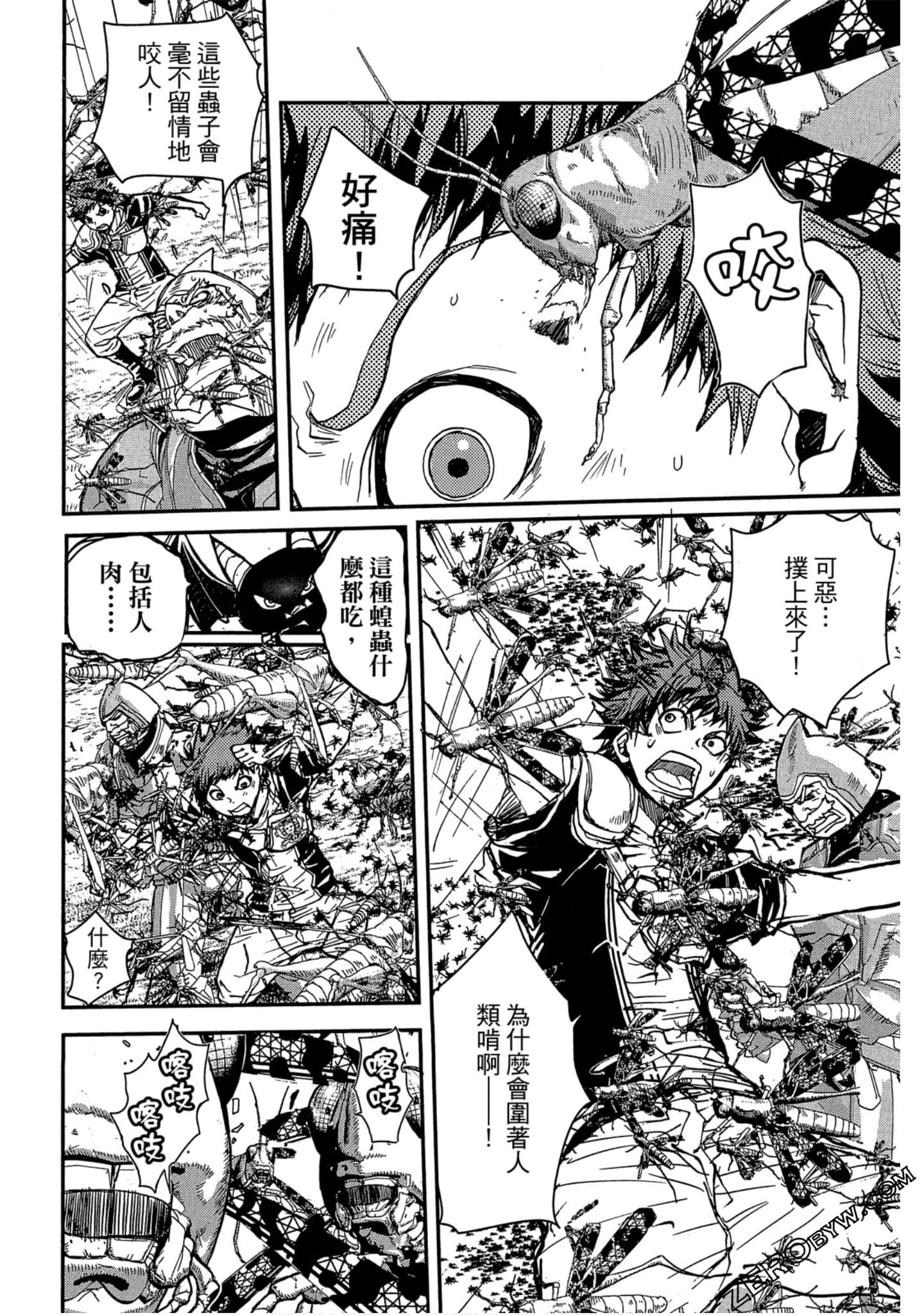 Page 41
