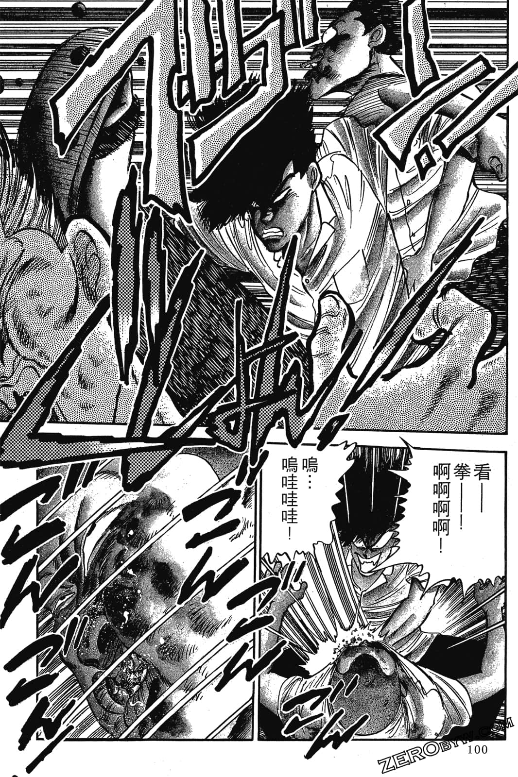 Page 101