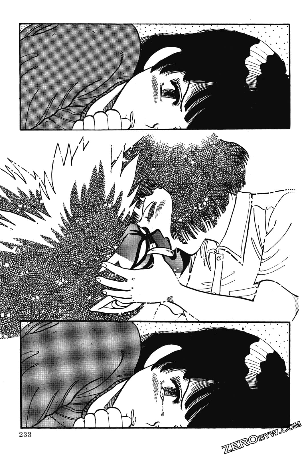 Page 234