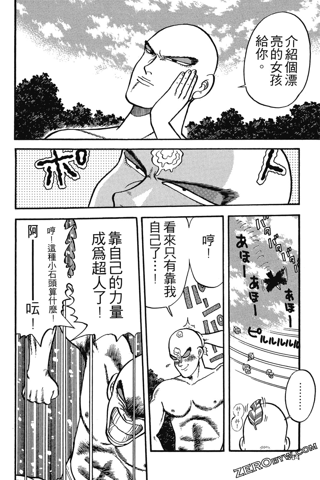 Page 255