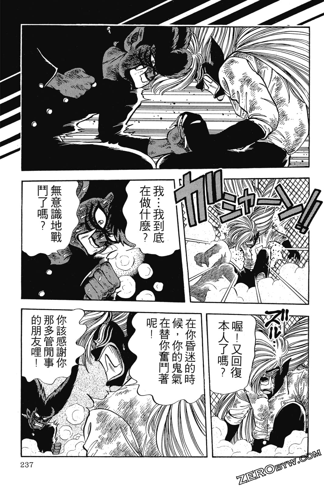 Page 238