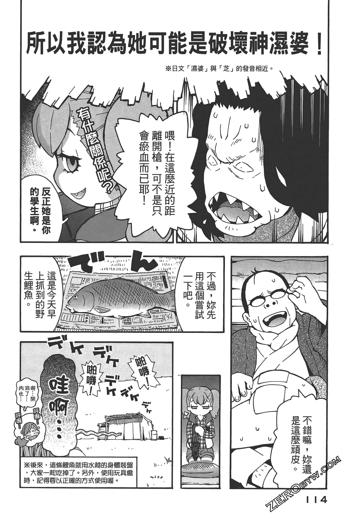 Page 111