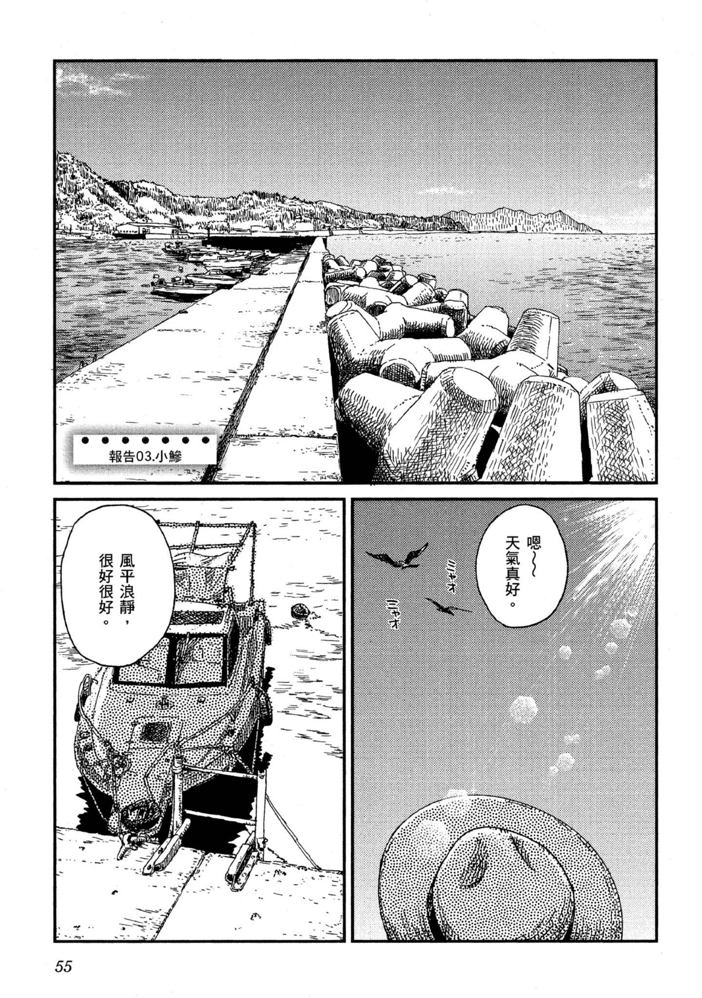 第 56 页