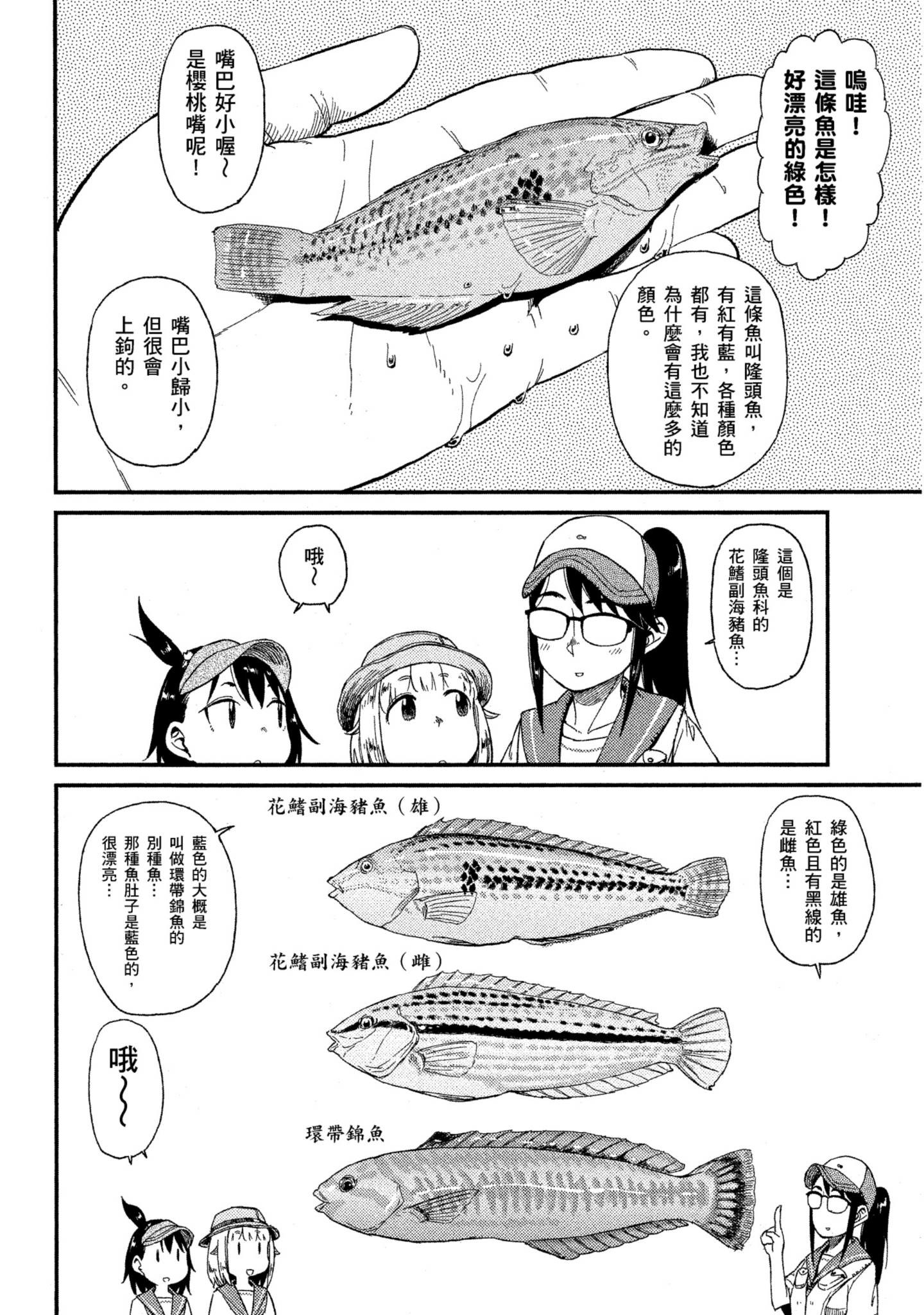 第 37 页