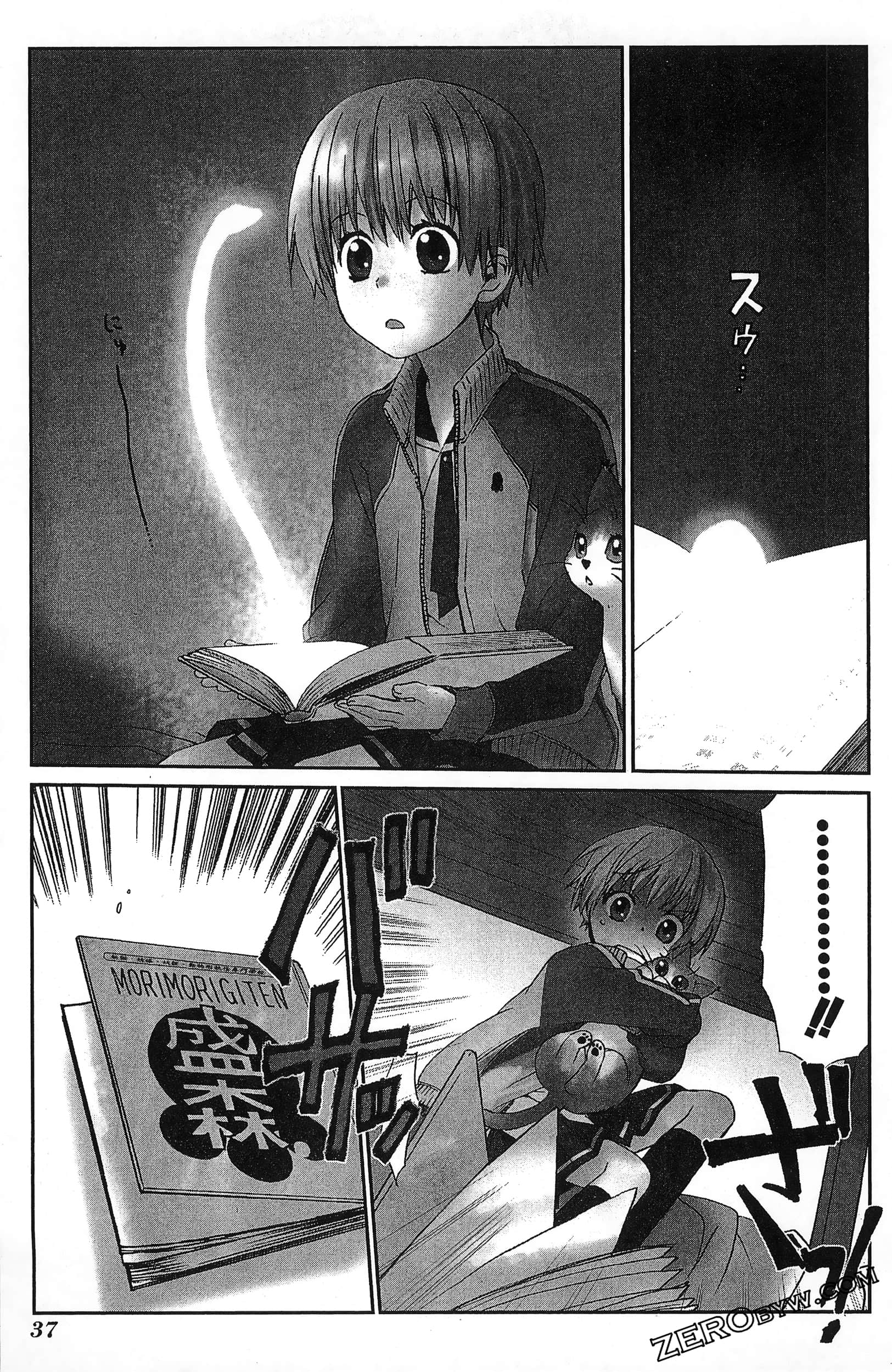 Page 41