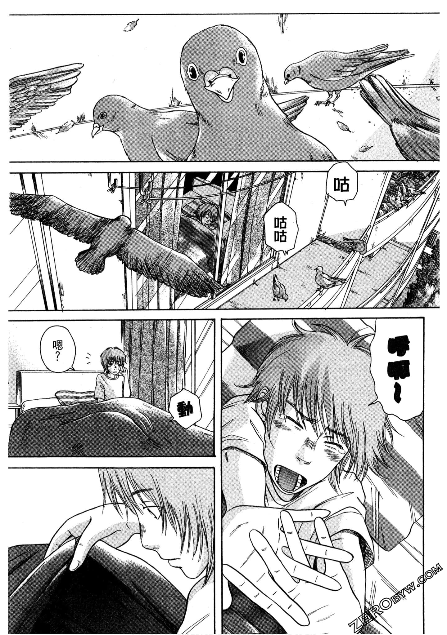 Page 42