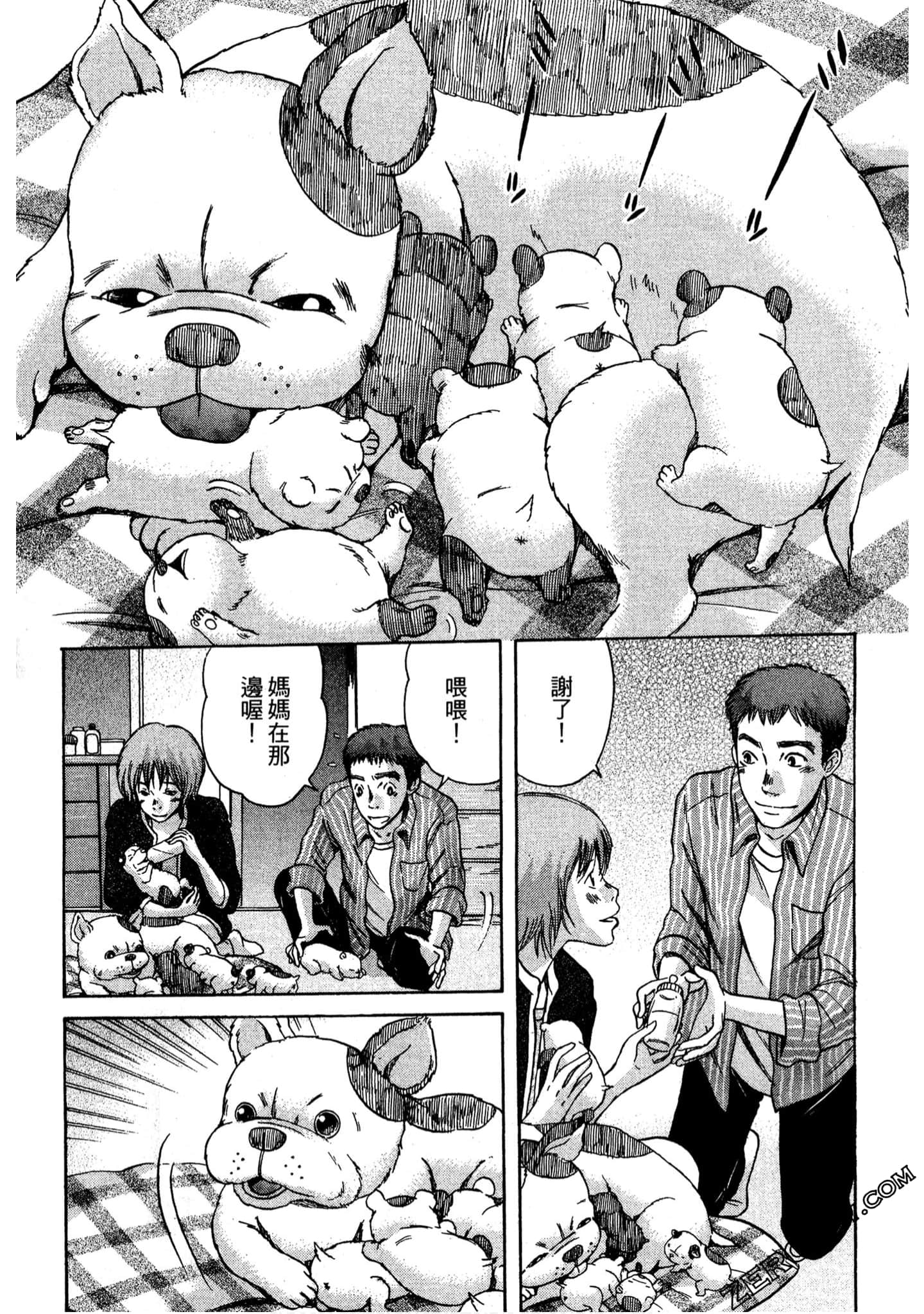 Page 219