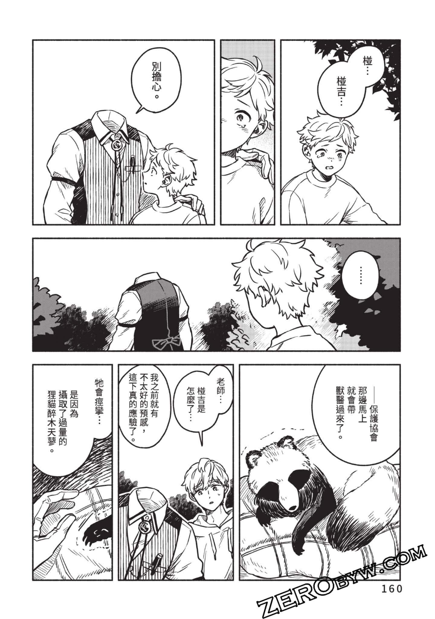 Page 161