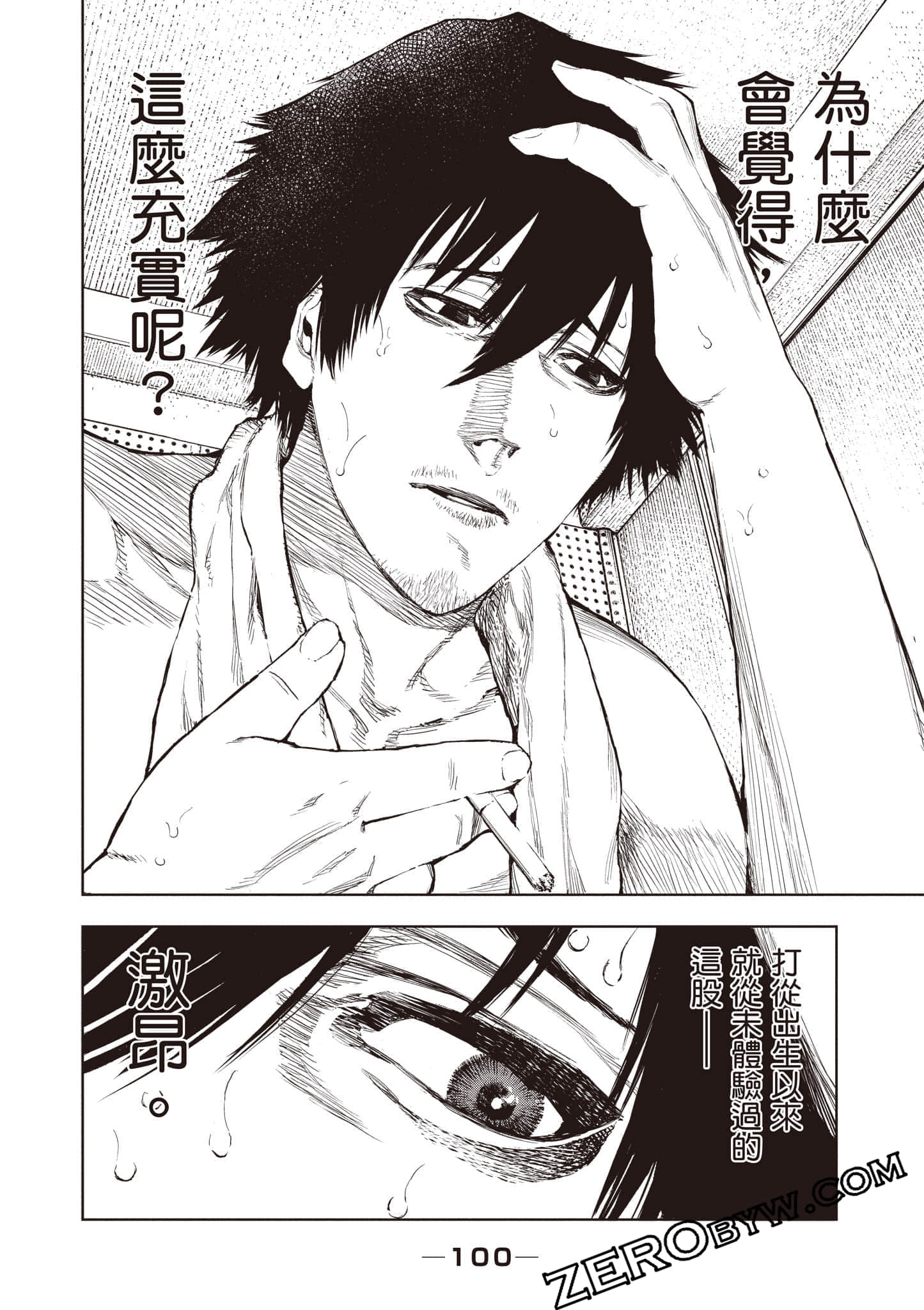 Page 101