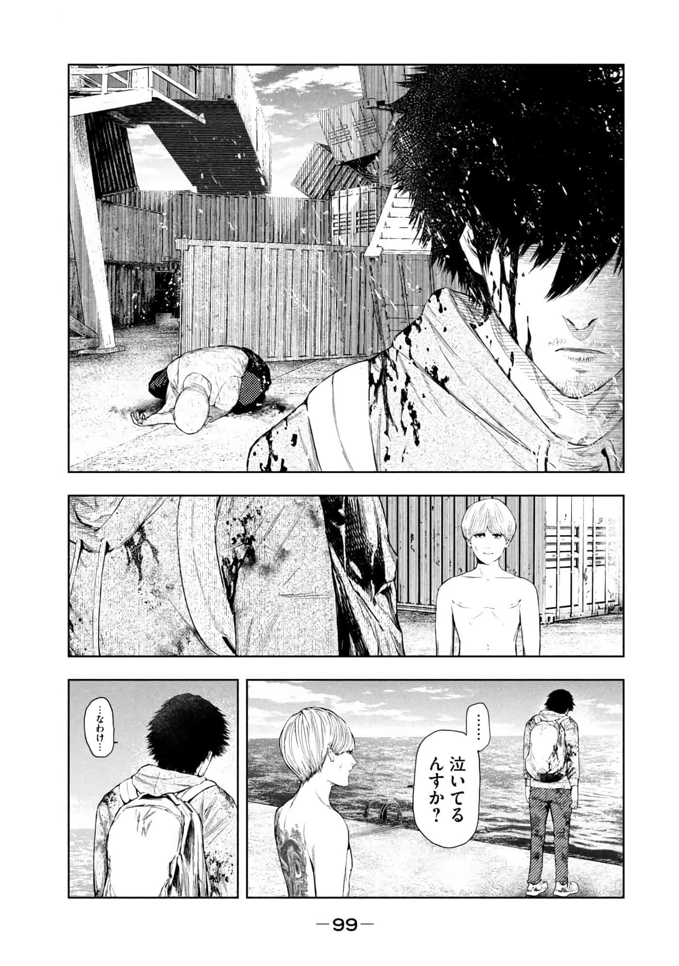 Page 101