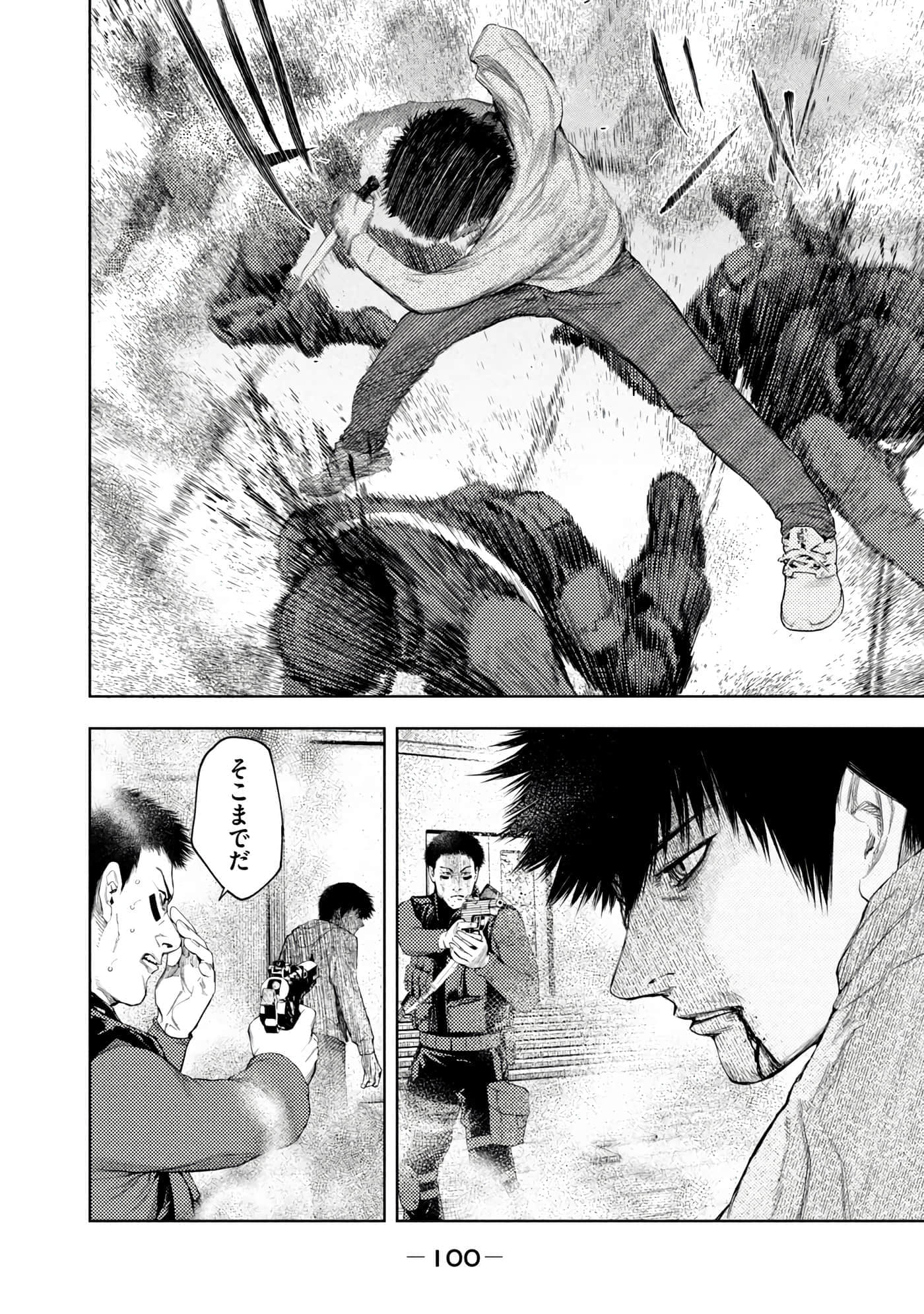 Page 102