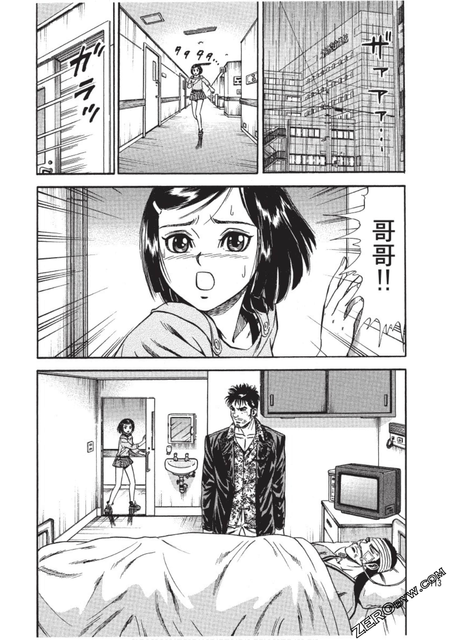 Page 113