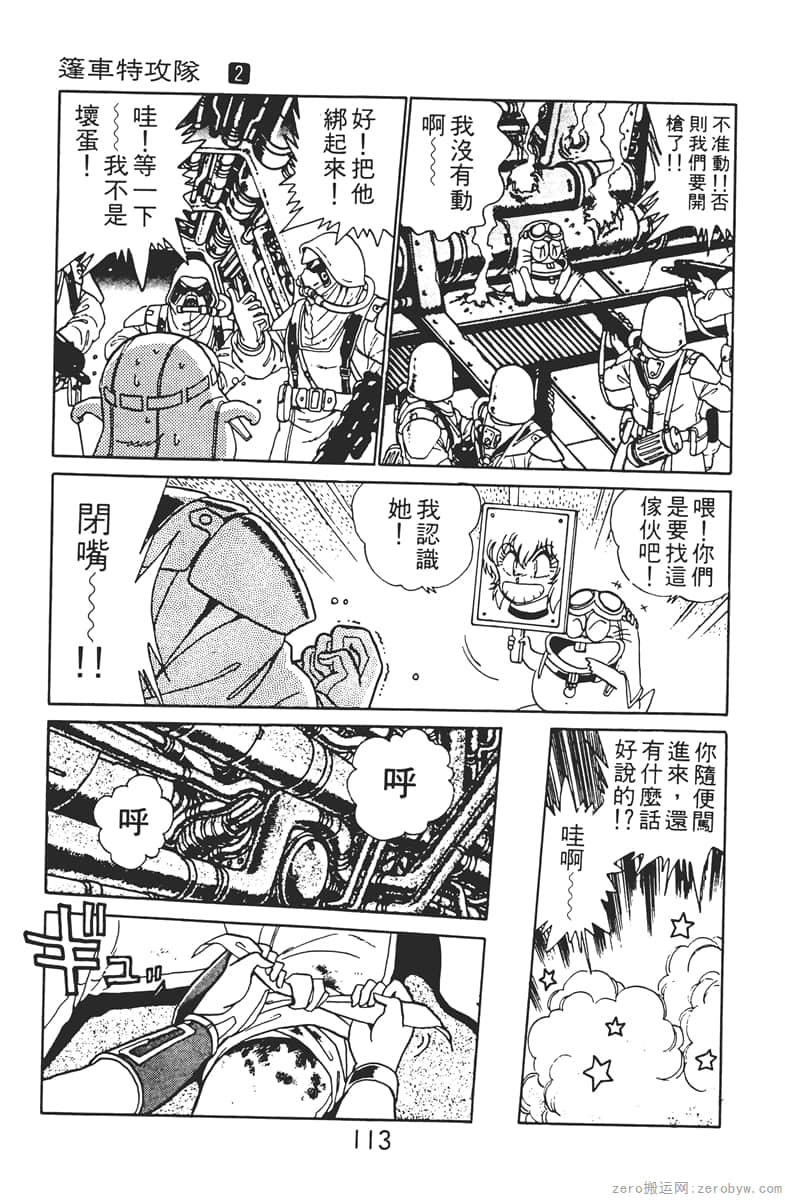 Page 113